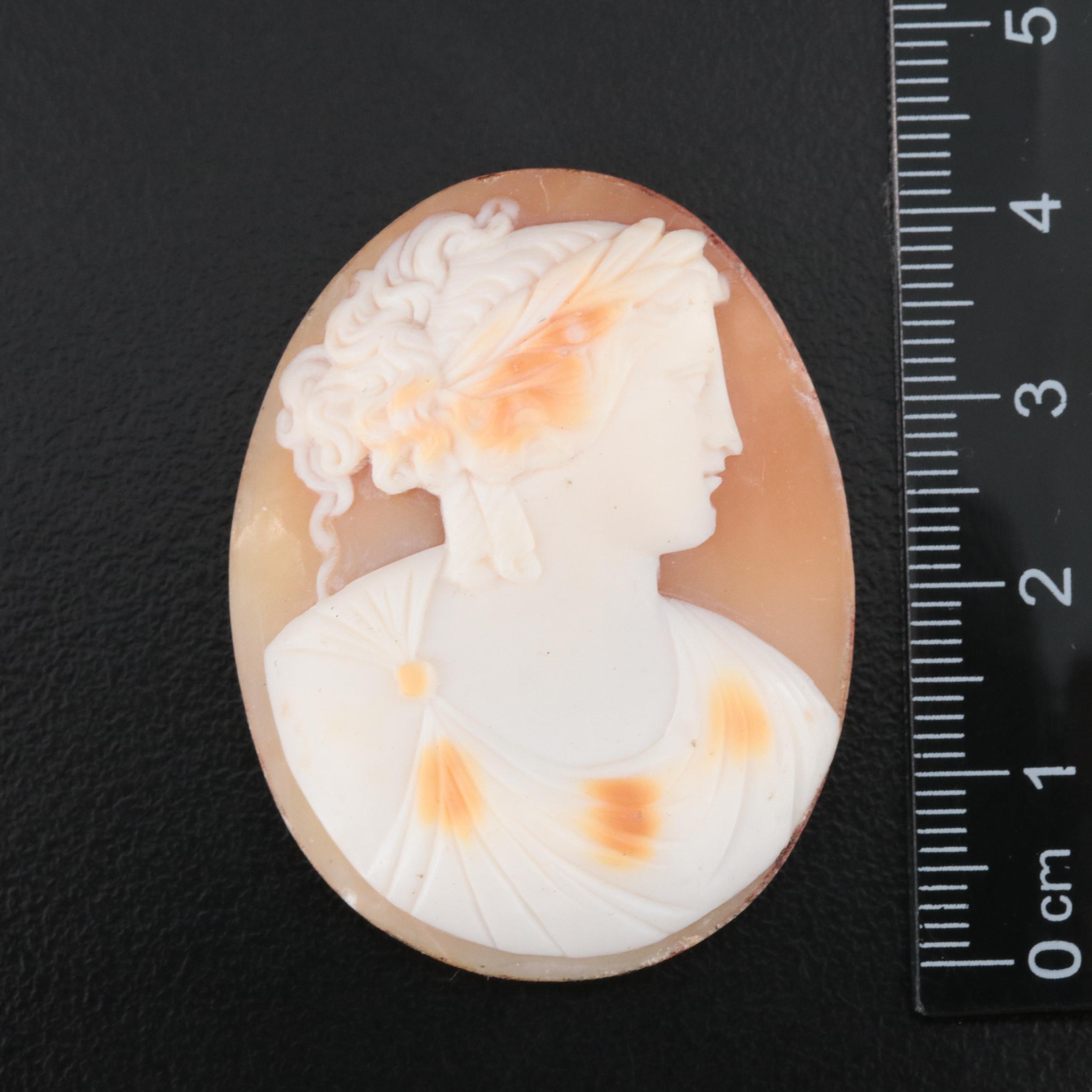 Loose Antique and Vintage Shell and Coral Cameo Lot