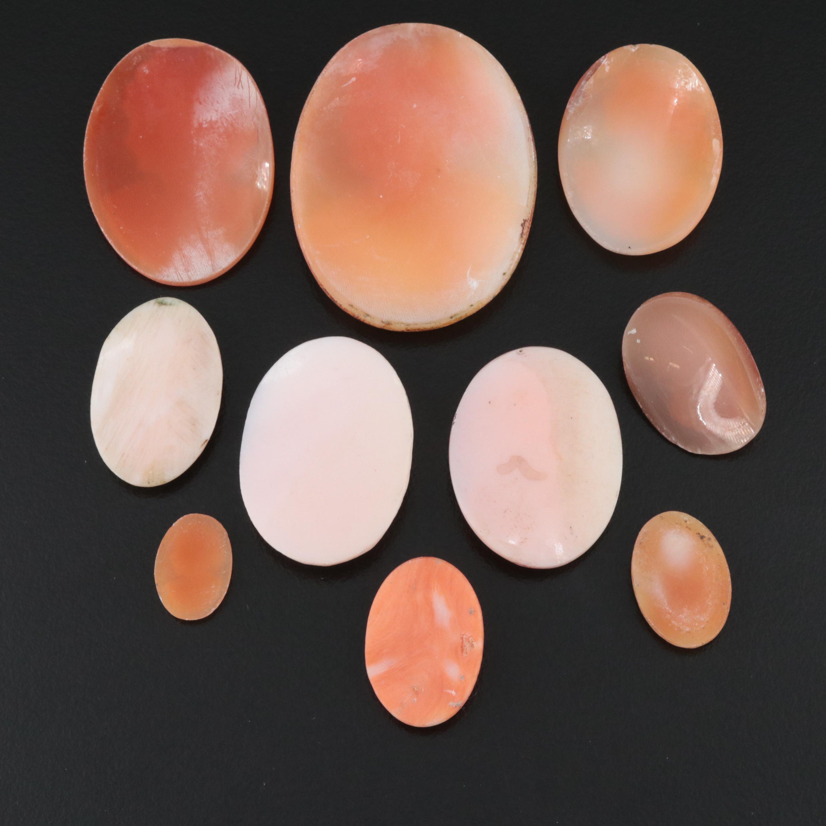 Loose Antique and Vintage Shell and Coral Cameo Lot