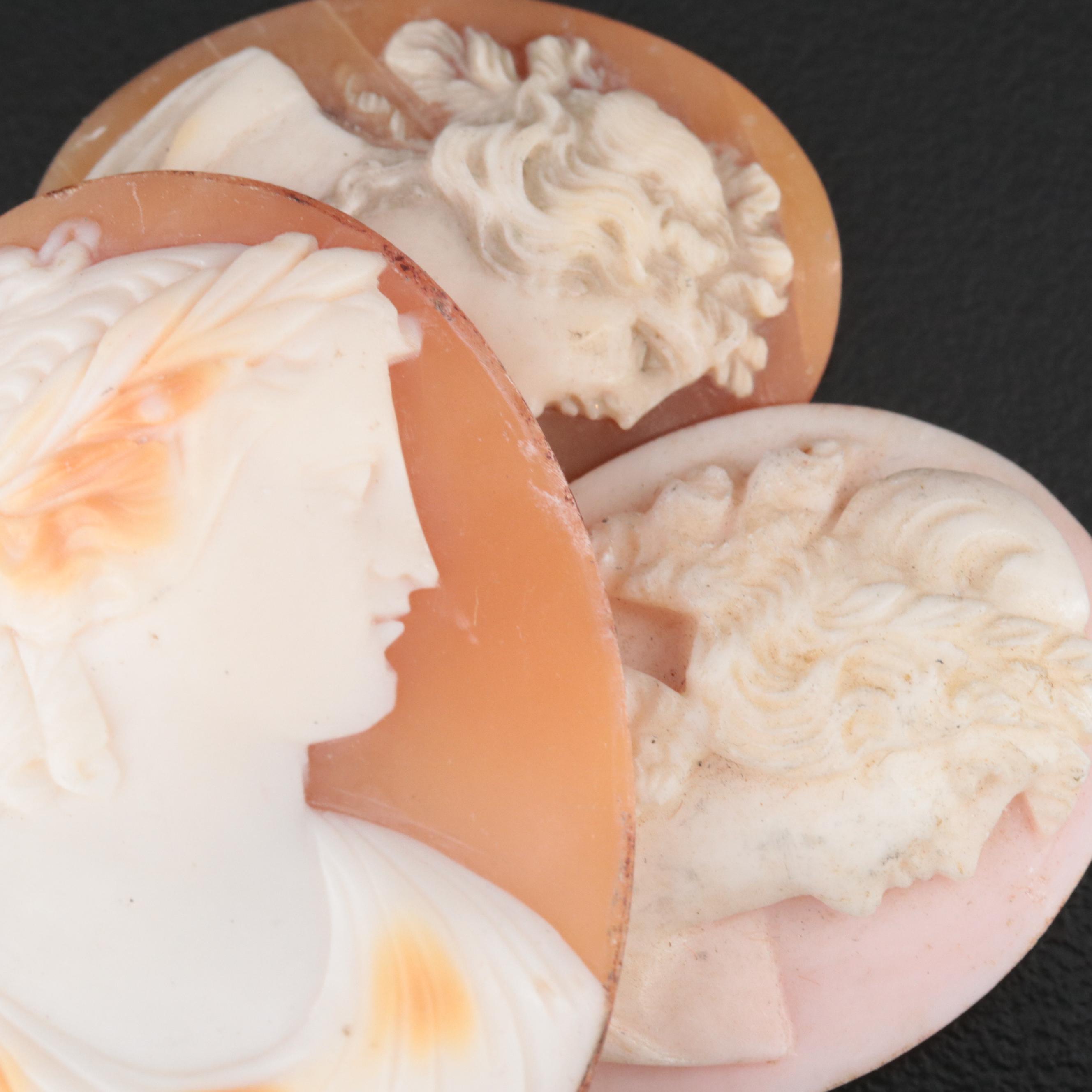 Loose Antique and Vintage Shell and Coral Cameo Lot
