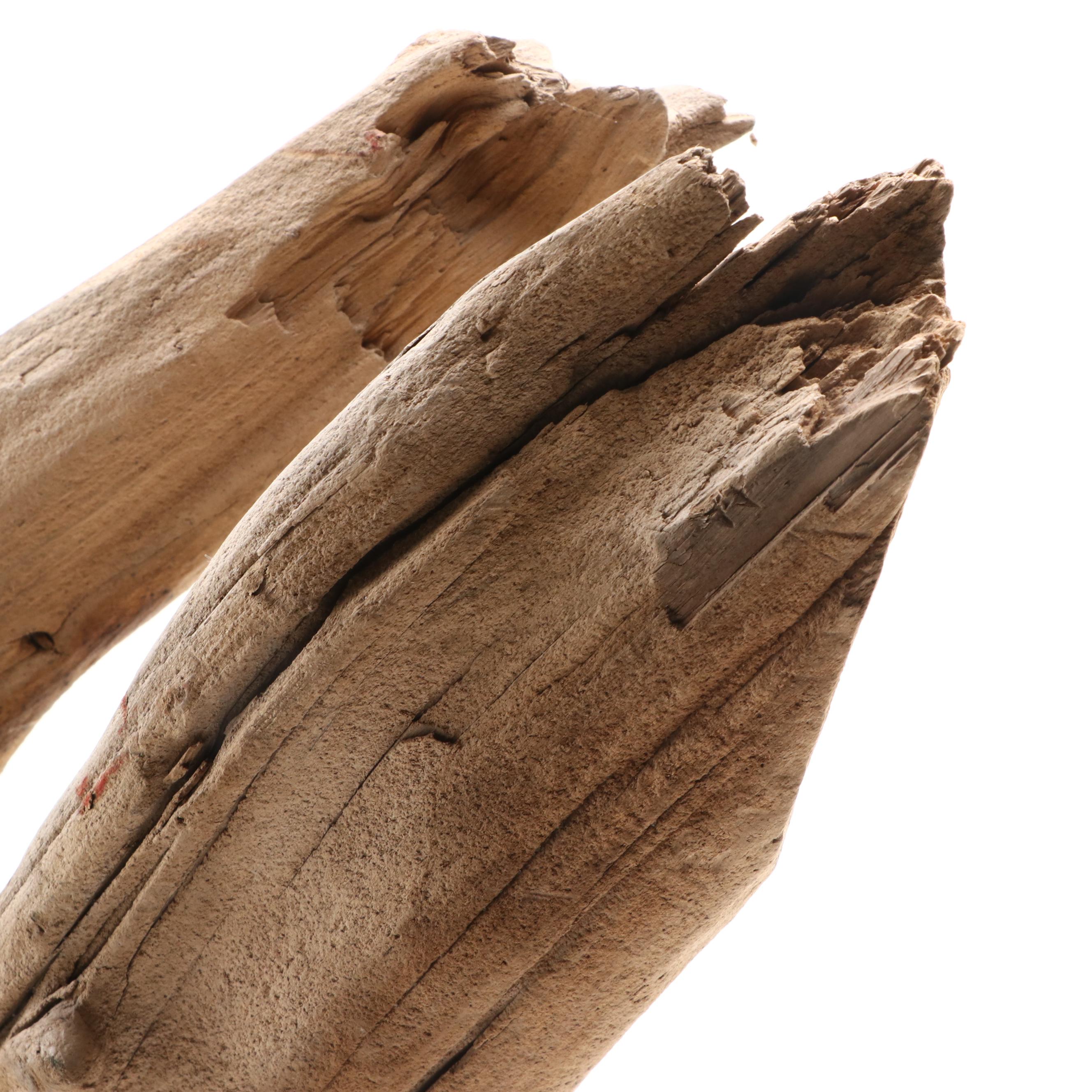 Driftwood Sculptures on Metal Stands