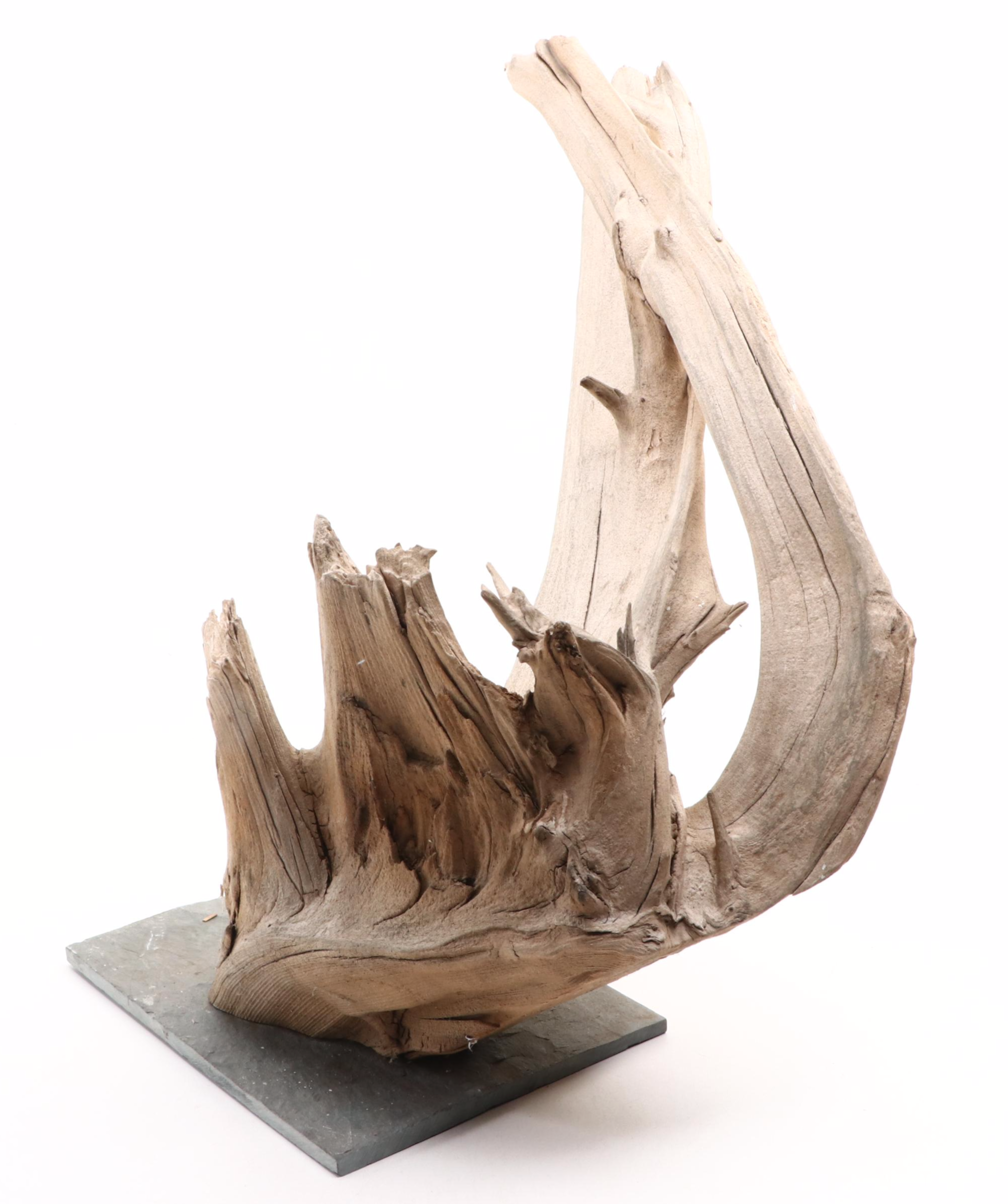 Driftwood Sculptures on Metal Stands