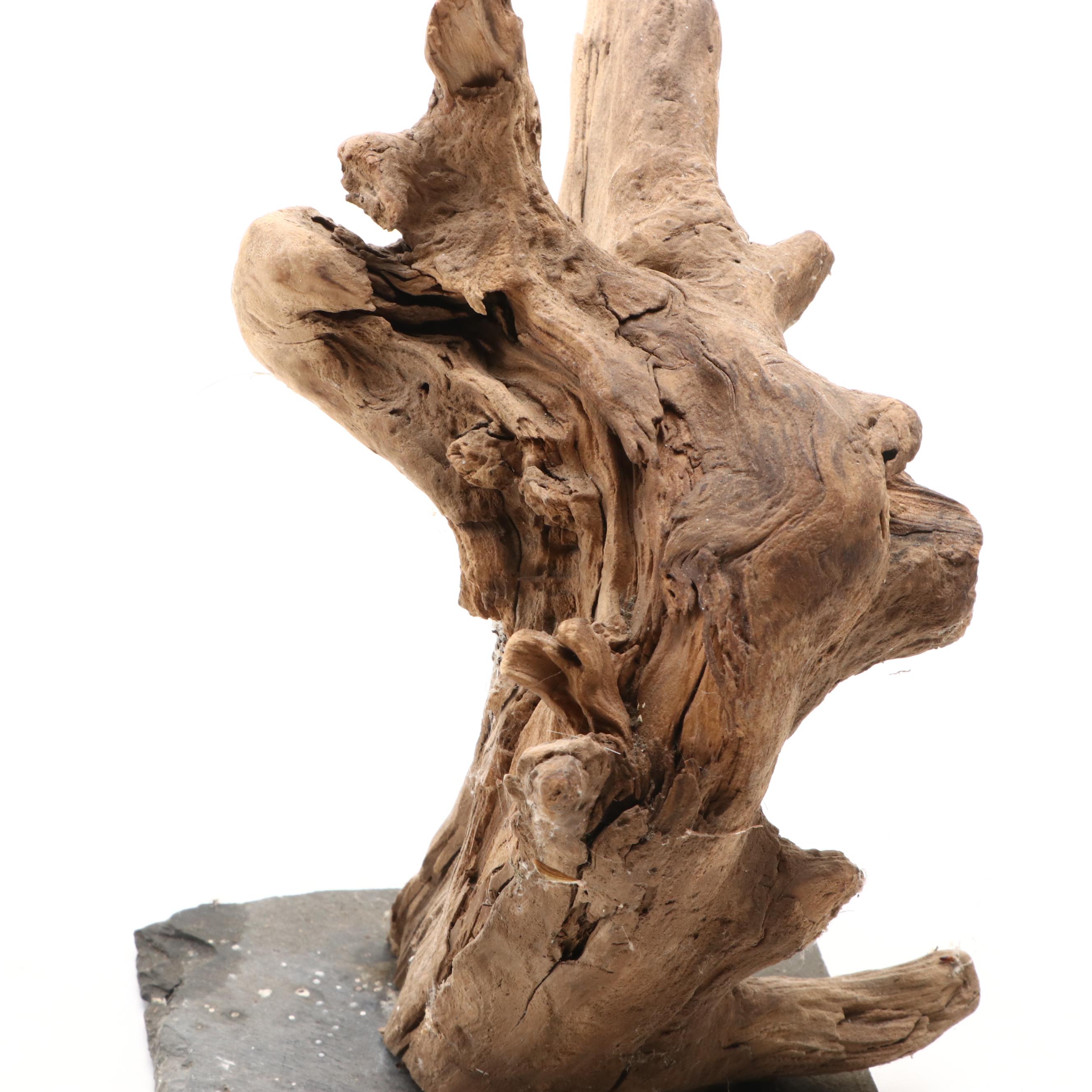 Driftwood Sculptures on Metal Stands