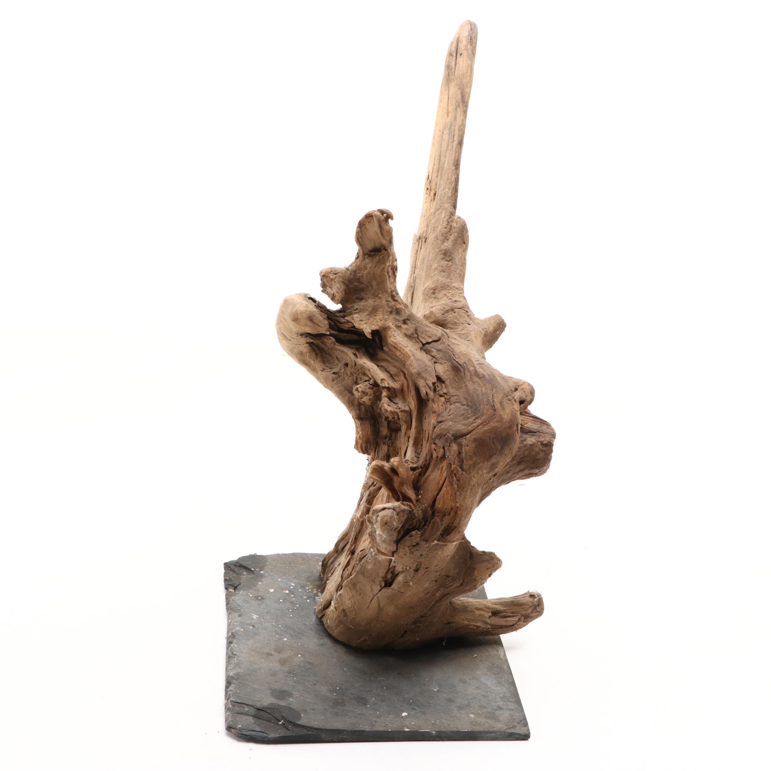 Driftwood Sculptures on Metal Stands