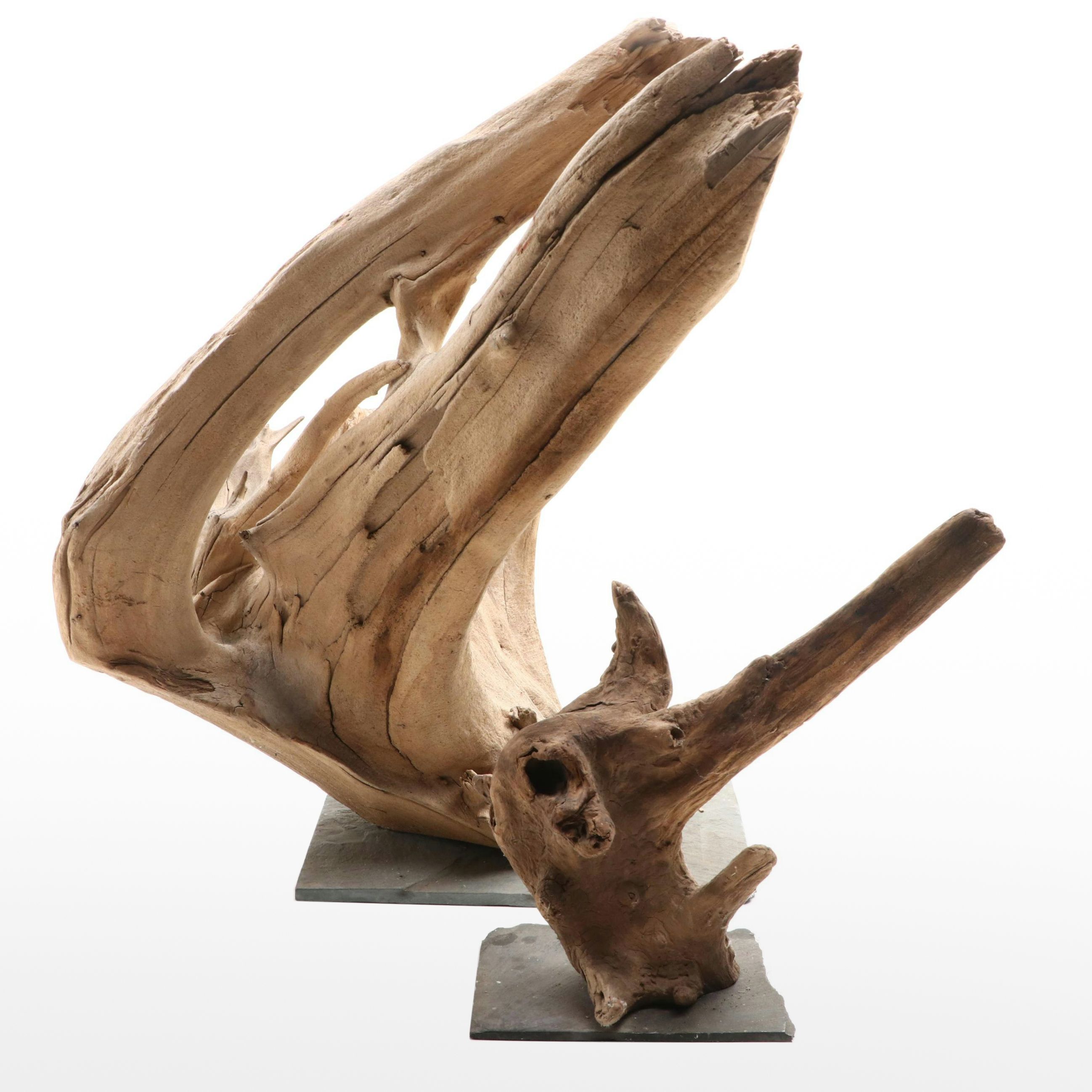 Driftwood Sculptures on Metal Stands