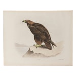 Lilian Medland Hand-Colored Engraving "The Golden Eagle," Circa 1911