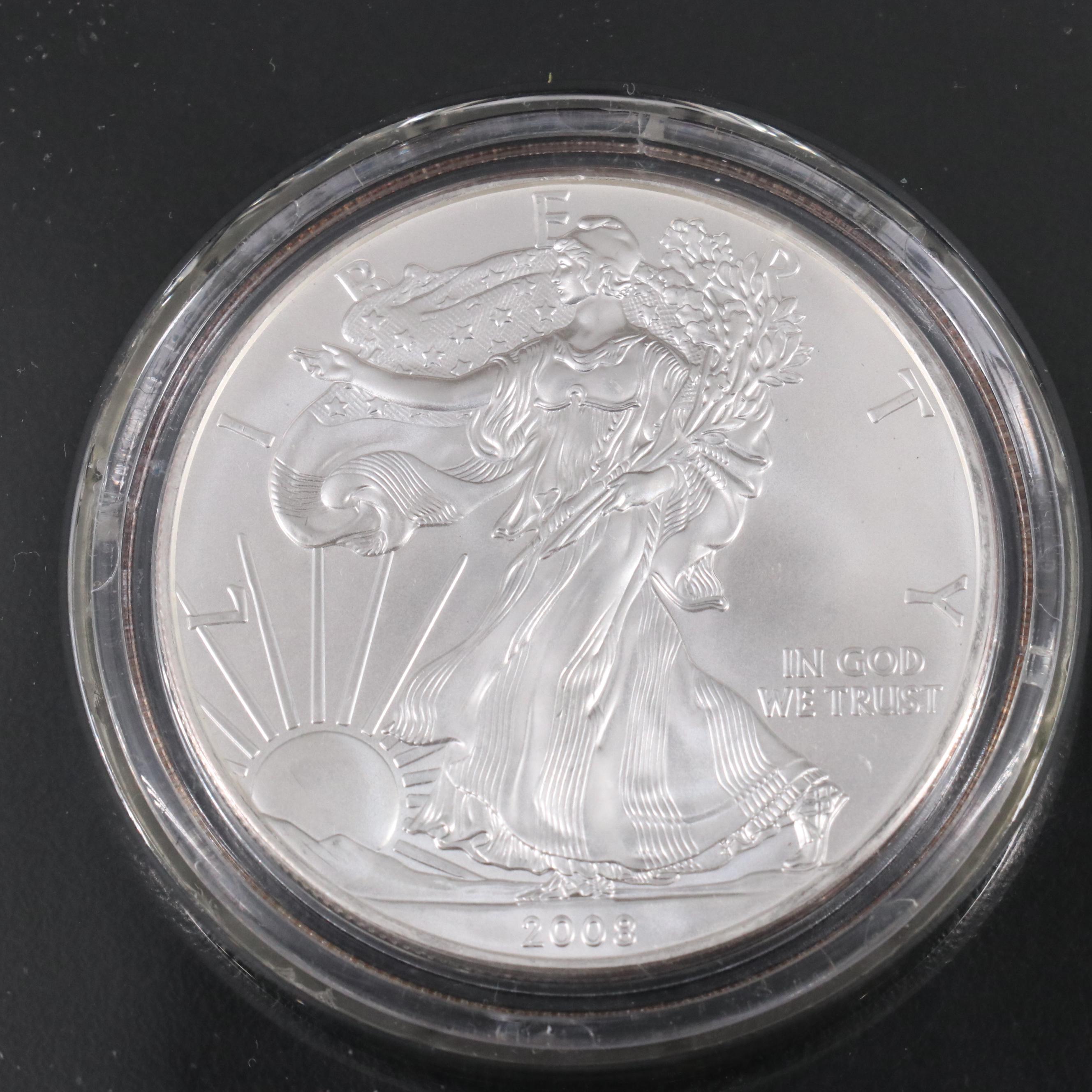 Resin Sculpture of a Bald Eagle With "War memorial" Colorized Silver Eagles
