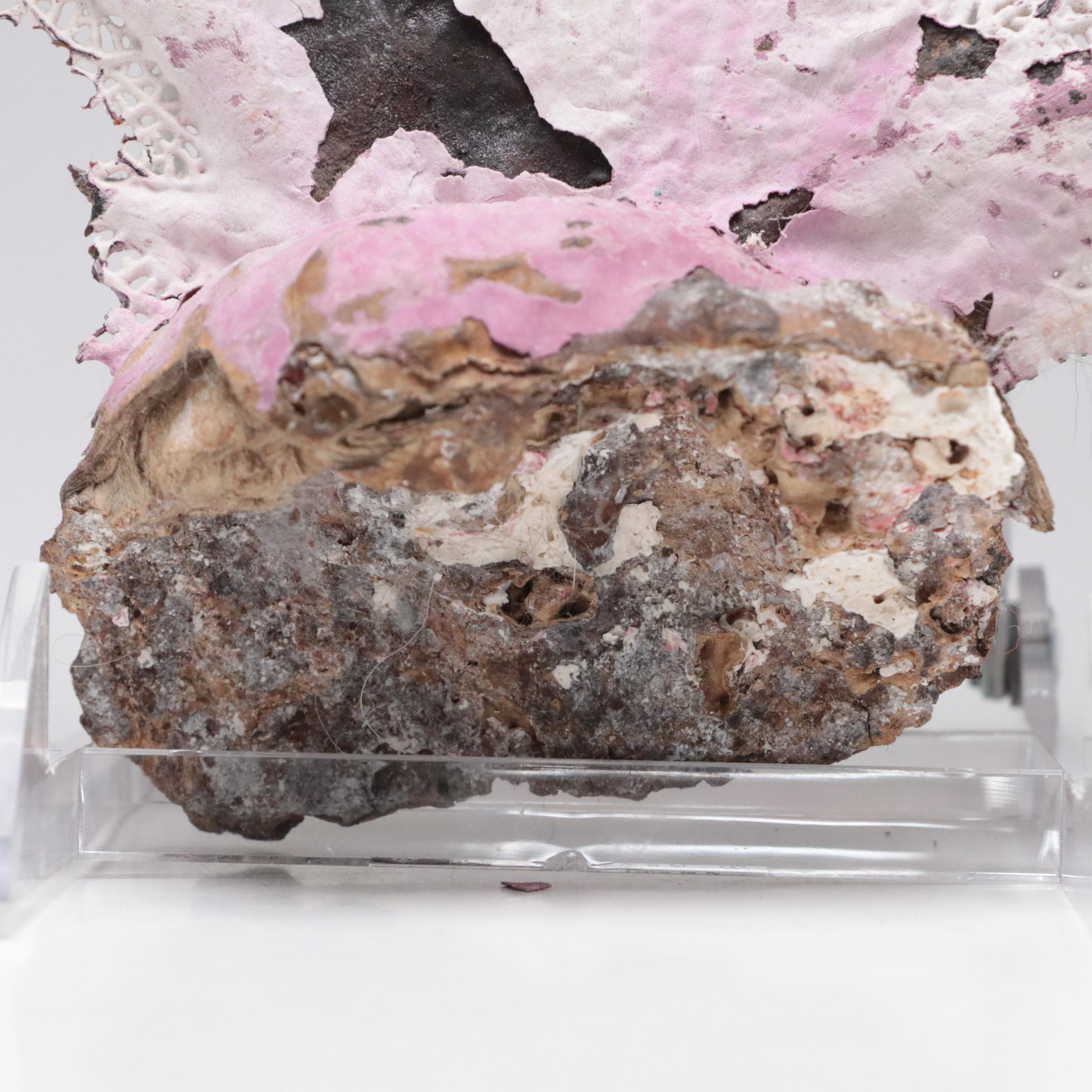 Welded Metal Fish Candle Holders, Coral Arrangement, Shell & Coral Specimens