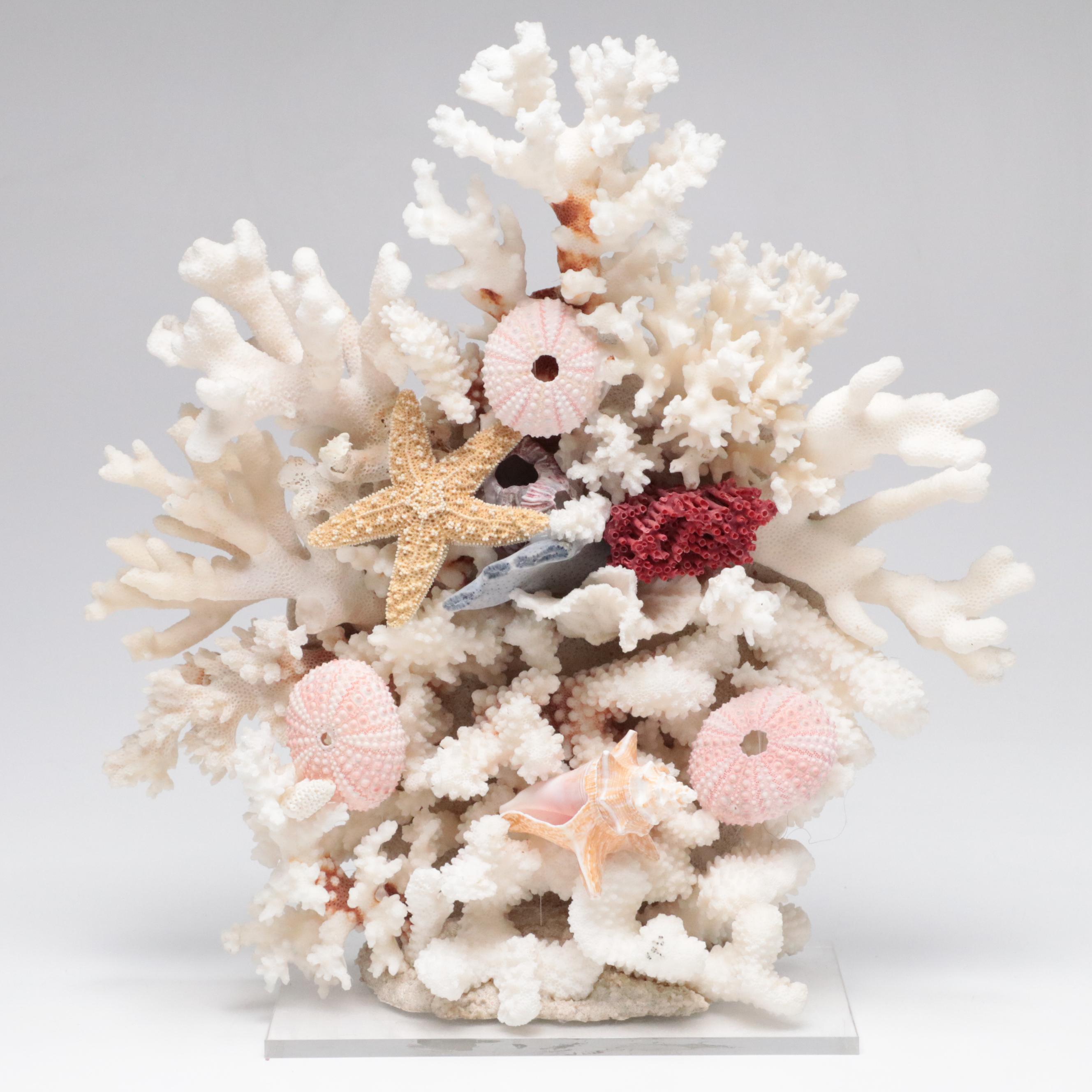 Welded Metal Fish Candle Holders, Coral Arrangement, Shell & Coral Specimens