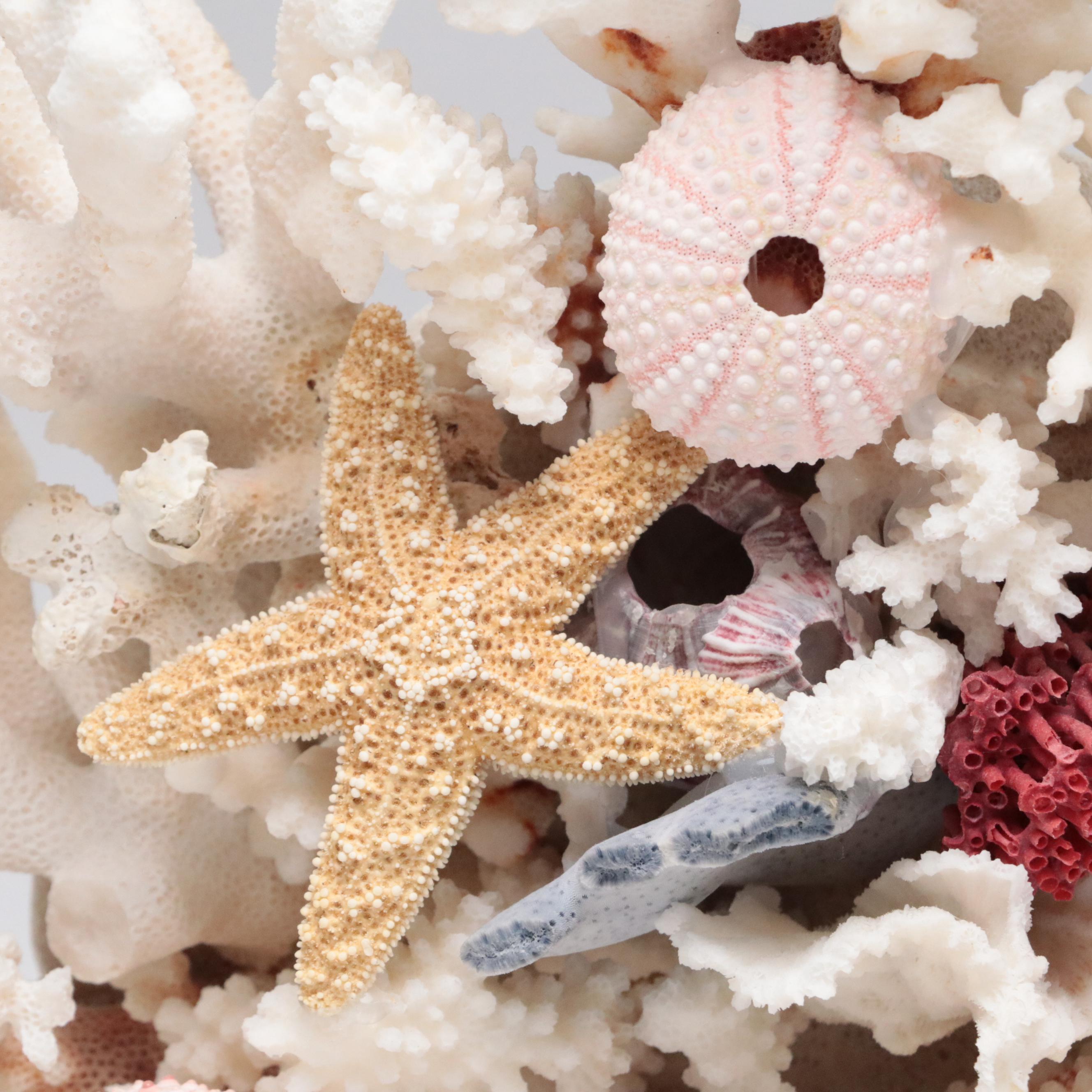 Welded Metal Fish Candle Holders, Coral Arrangement, Shell & Coral Specimens