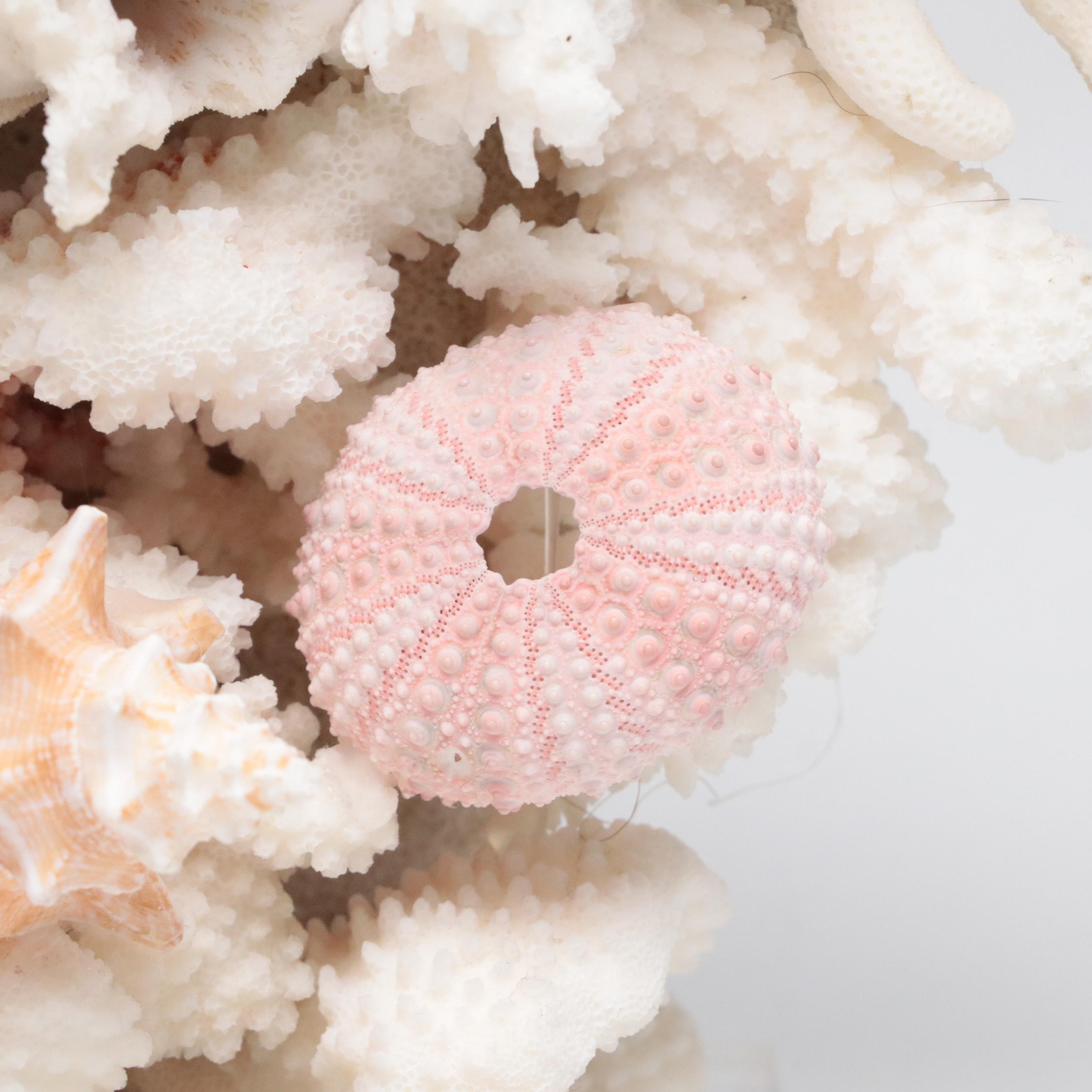 Welded Metal Fish Candle Holders, Coral Arrangement, Shell & Coral Specimens