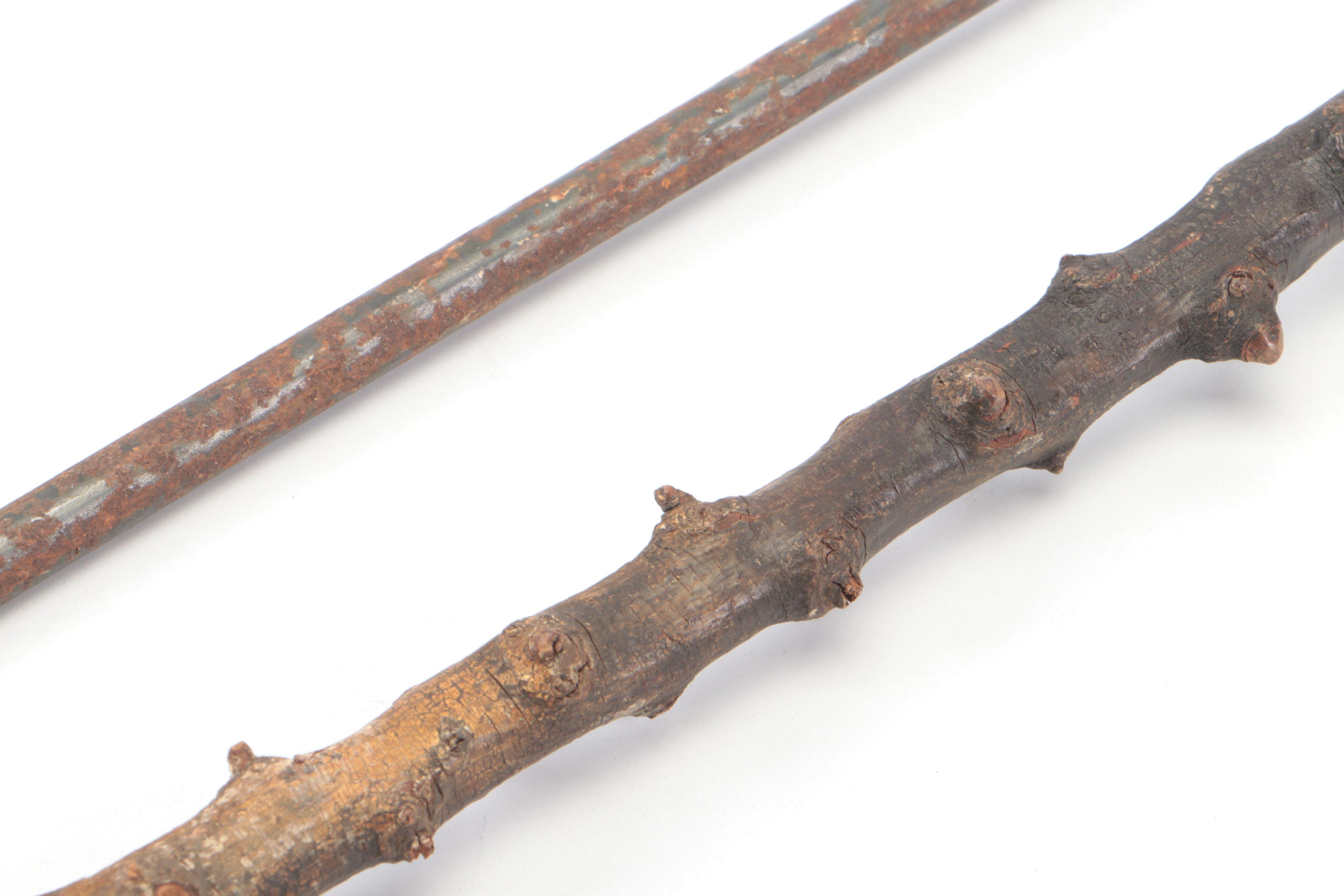 Metal Walking Stick with Cast Brass Eagle Finial and Other Walking Stick