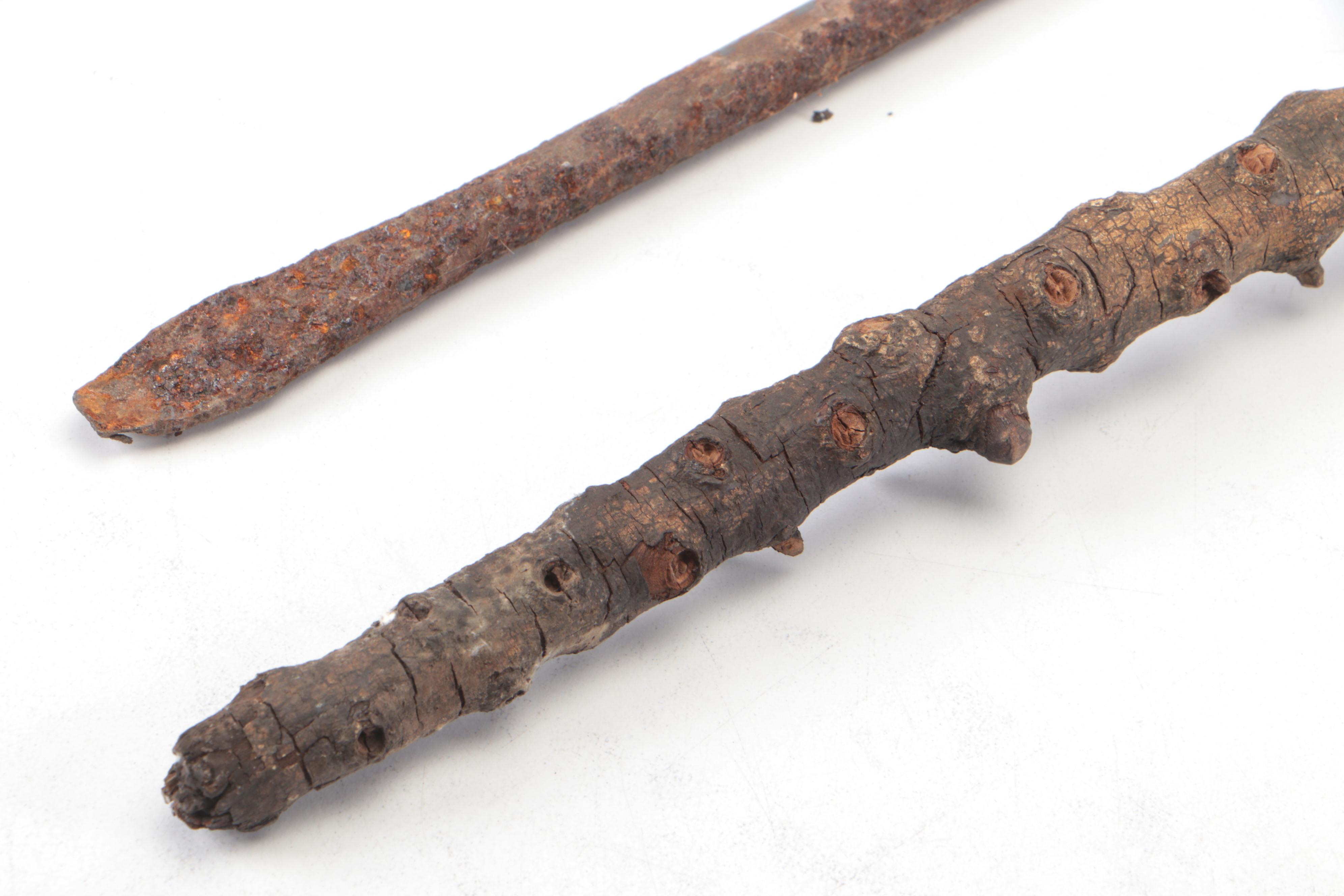 Metal Walking Stick with Cast Brass Eagle Finial and Other Walking Stick