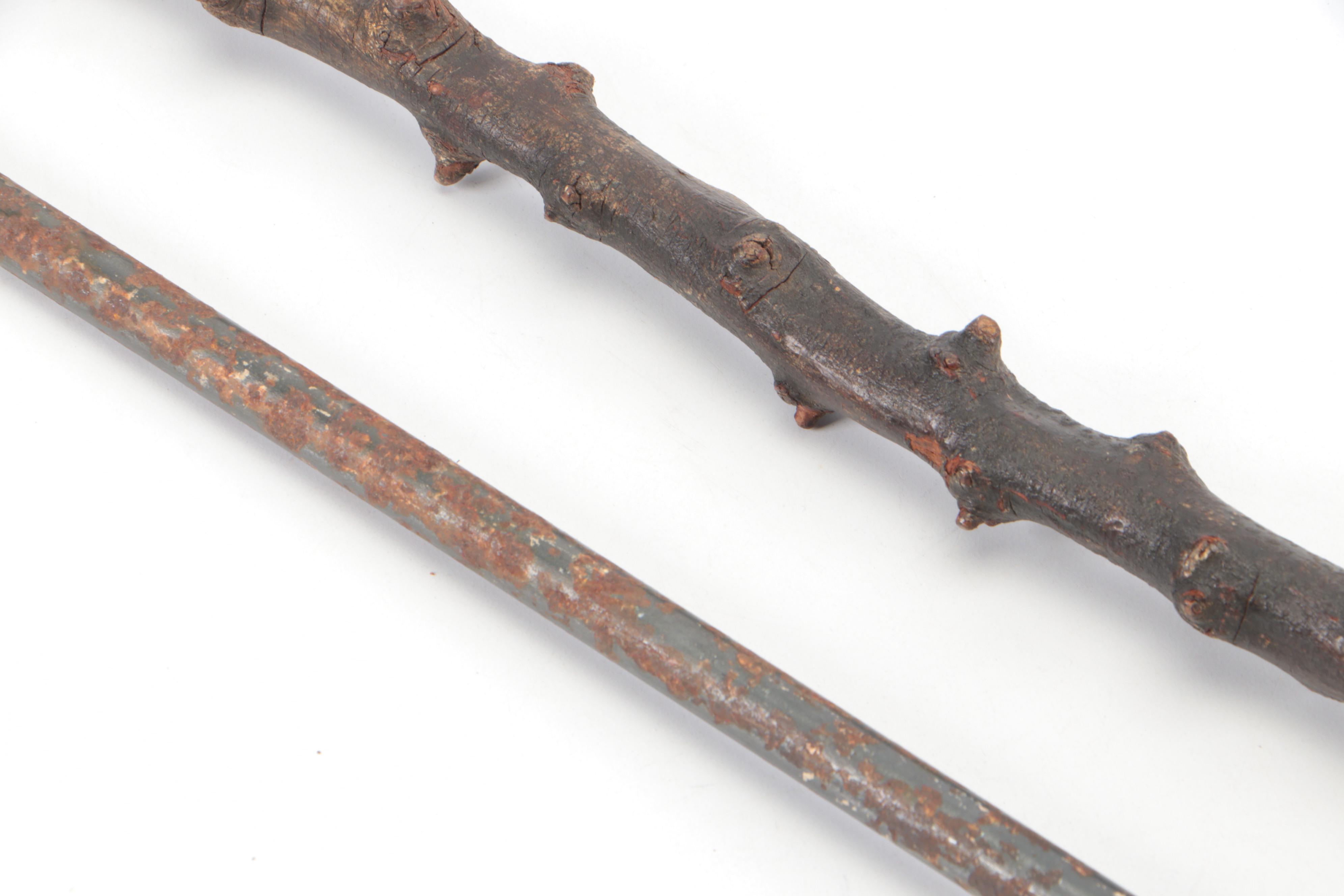 Metal Walking Stick with Cast Brass Eagle Finial and Other Walking Stick