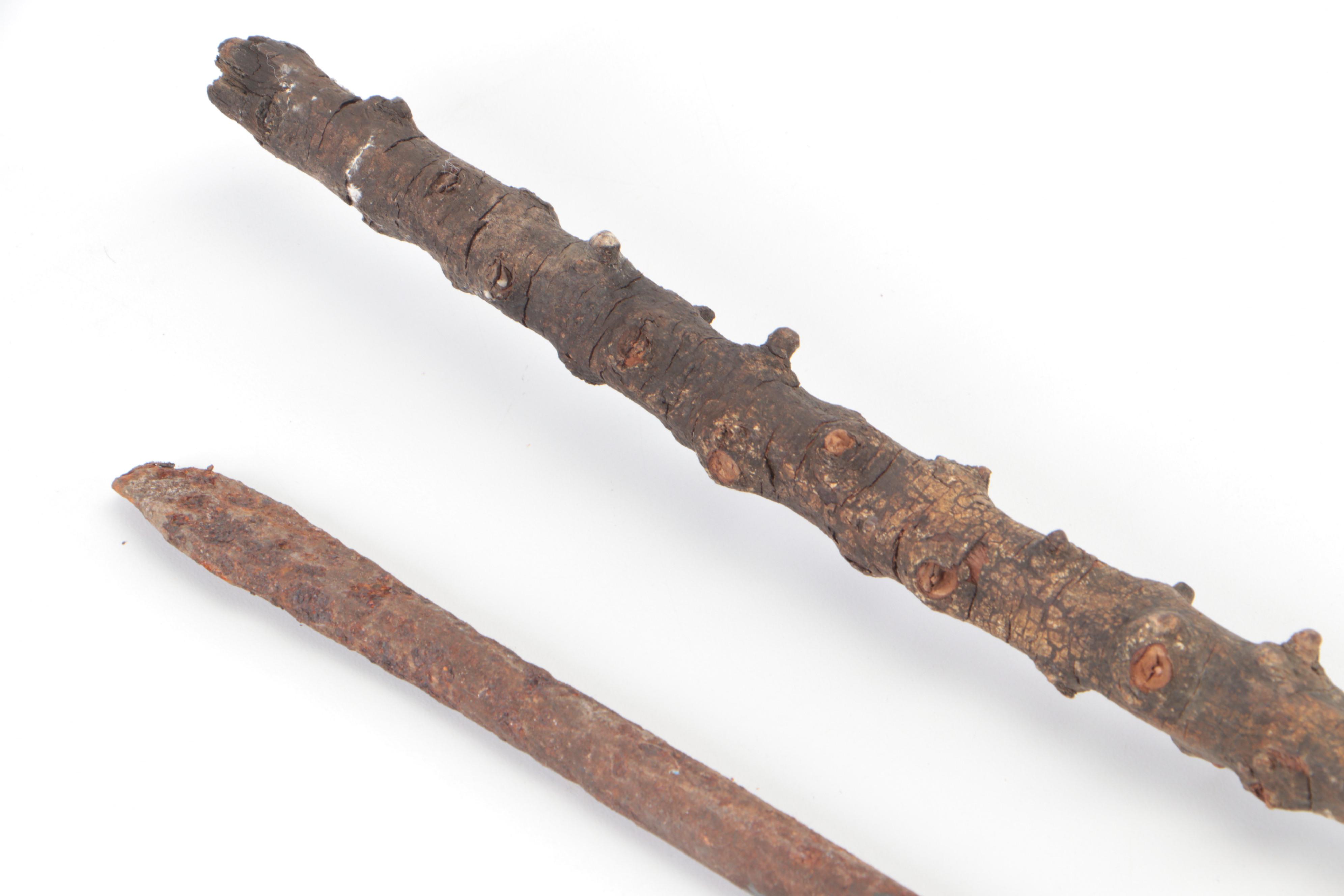 Metal Walking Stick with Cast Brass Eagle Finial and Other Walking Stick