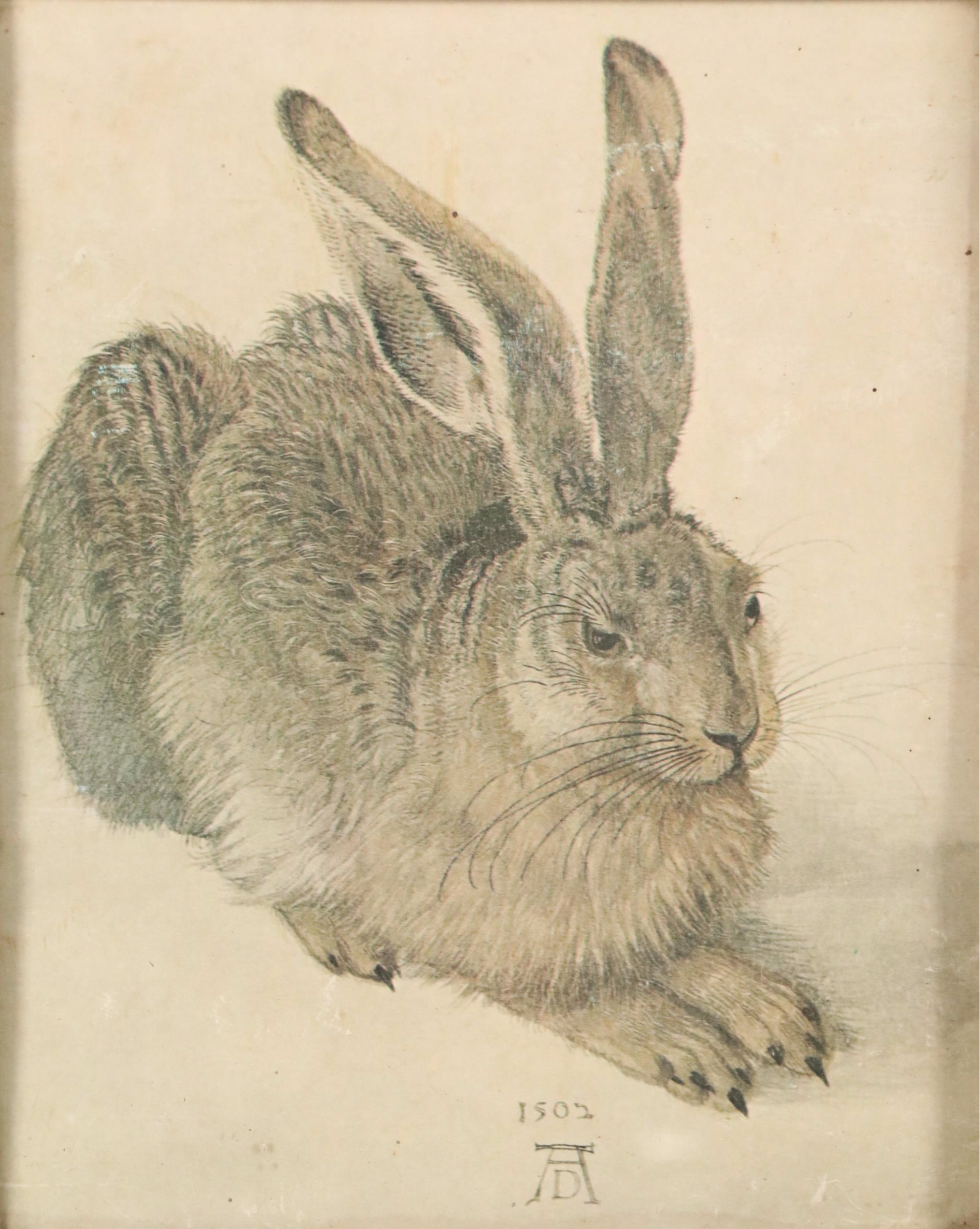 Offset Lithograph After Albrecht Dürer "Rabbit," 20th Century