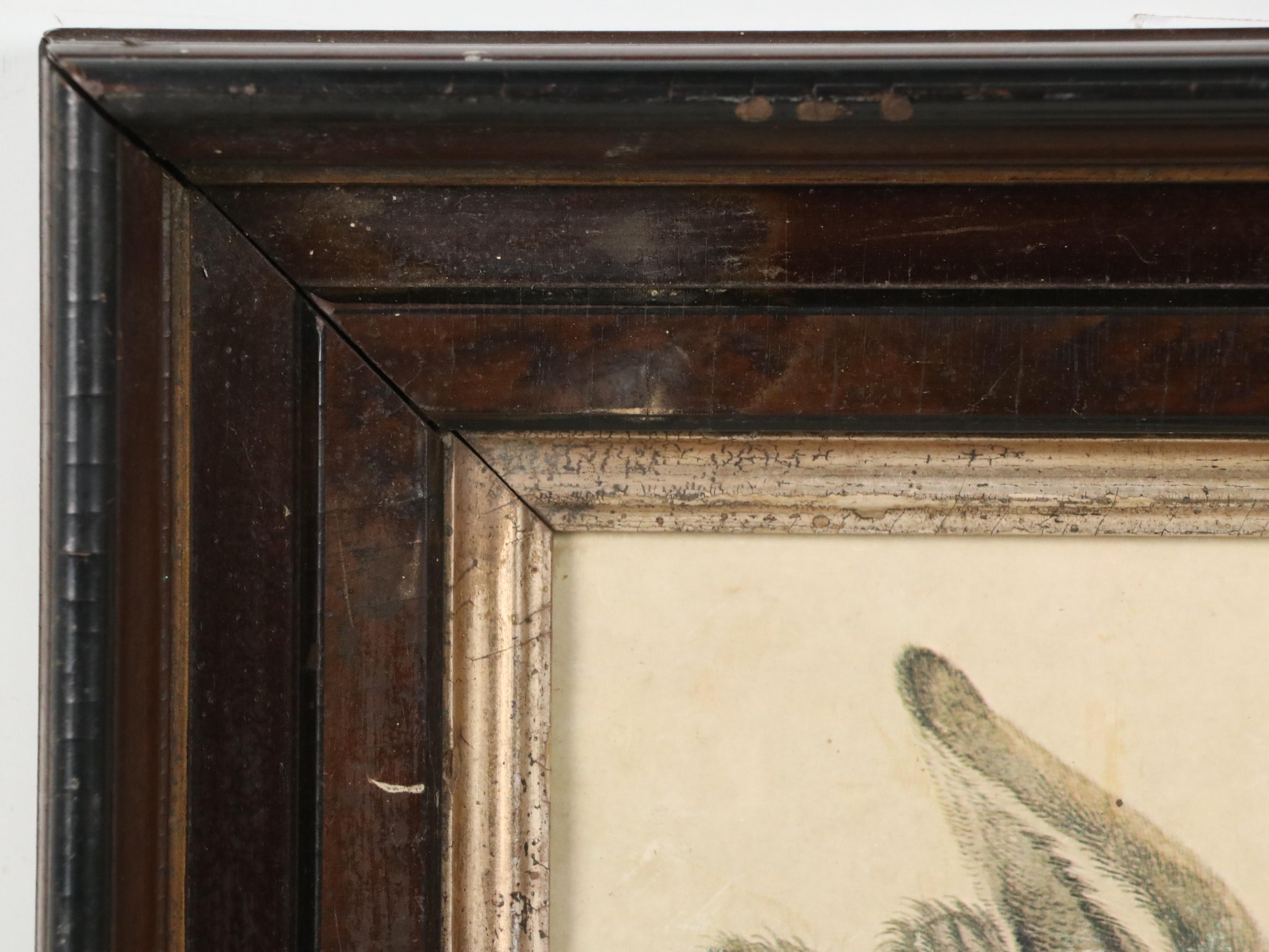 Offset Lithograph After Albrecht Dürer "Rabbit," 20th Century