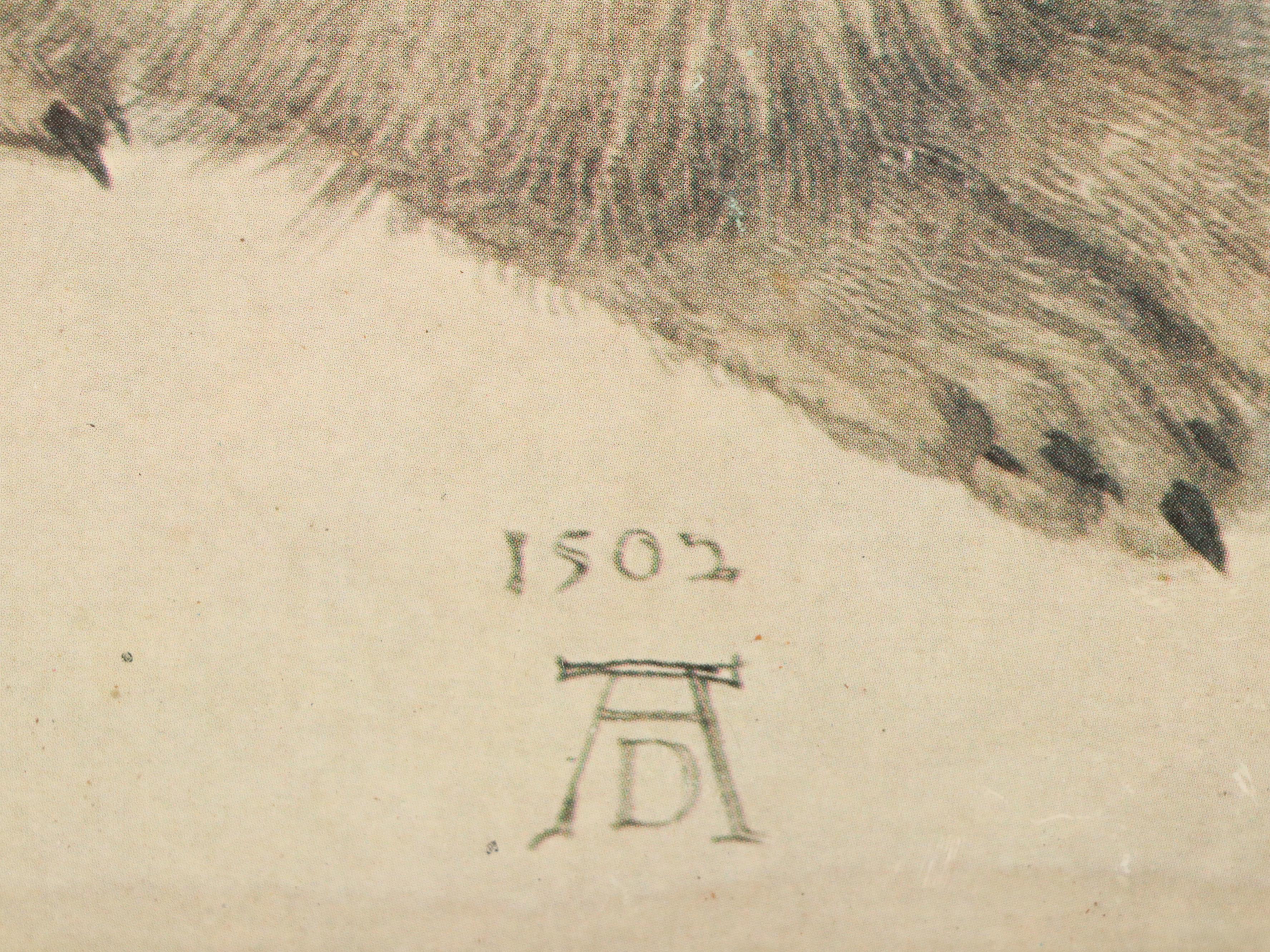 Offset Lithograph After Albrecht Dürer "Rabbit," 20th Century