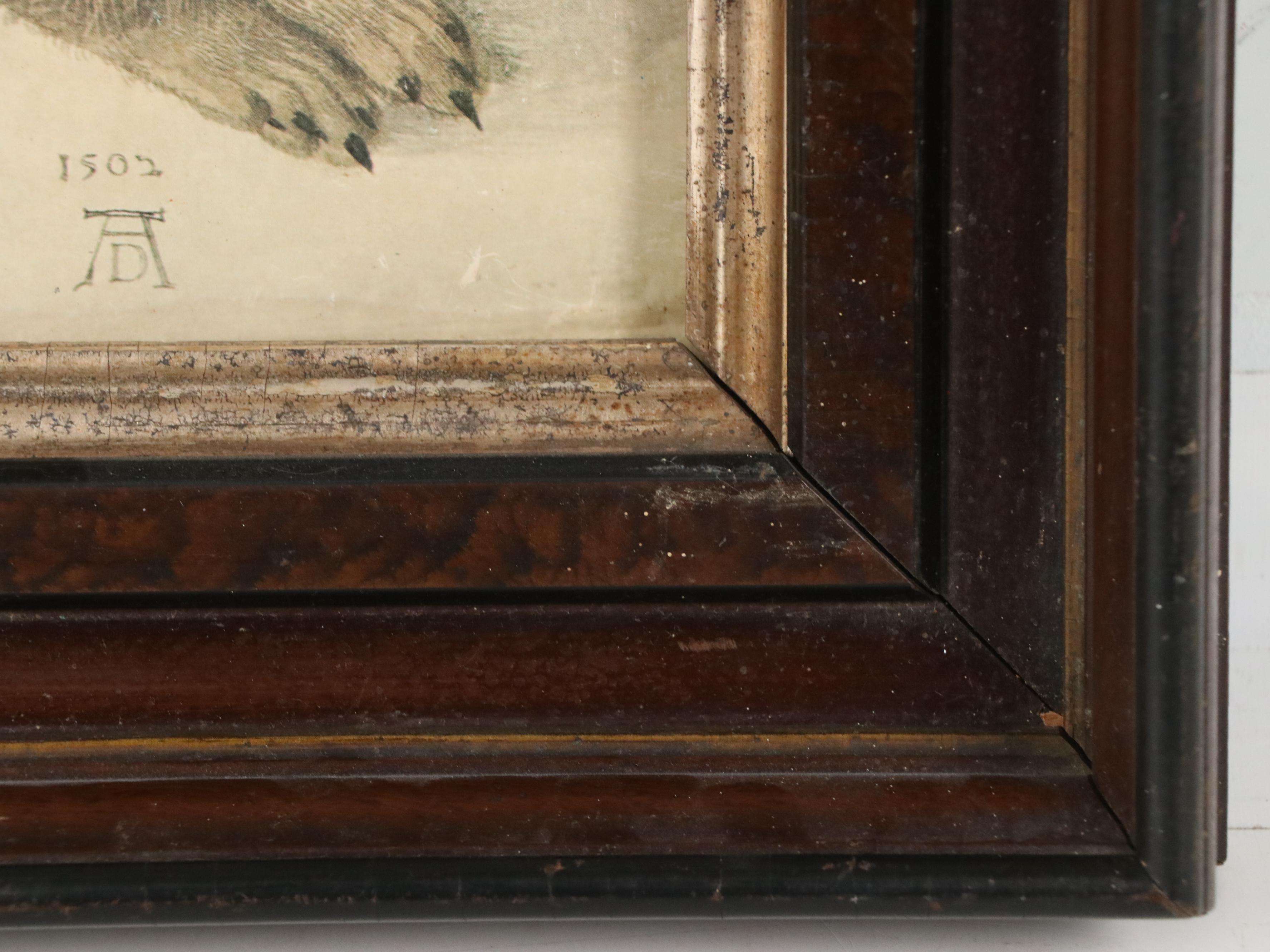 Offset Lithograph After Albrecht Dürer "Rabbit," 20th Century