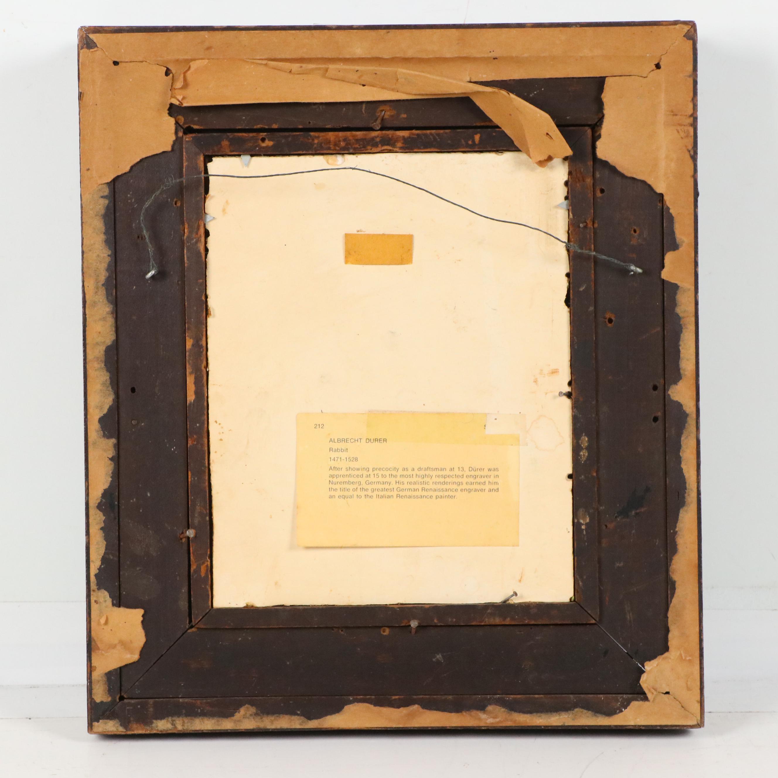 Offset Lithograph After Albrecht Dürer "Rabbit," 20th Century