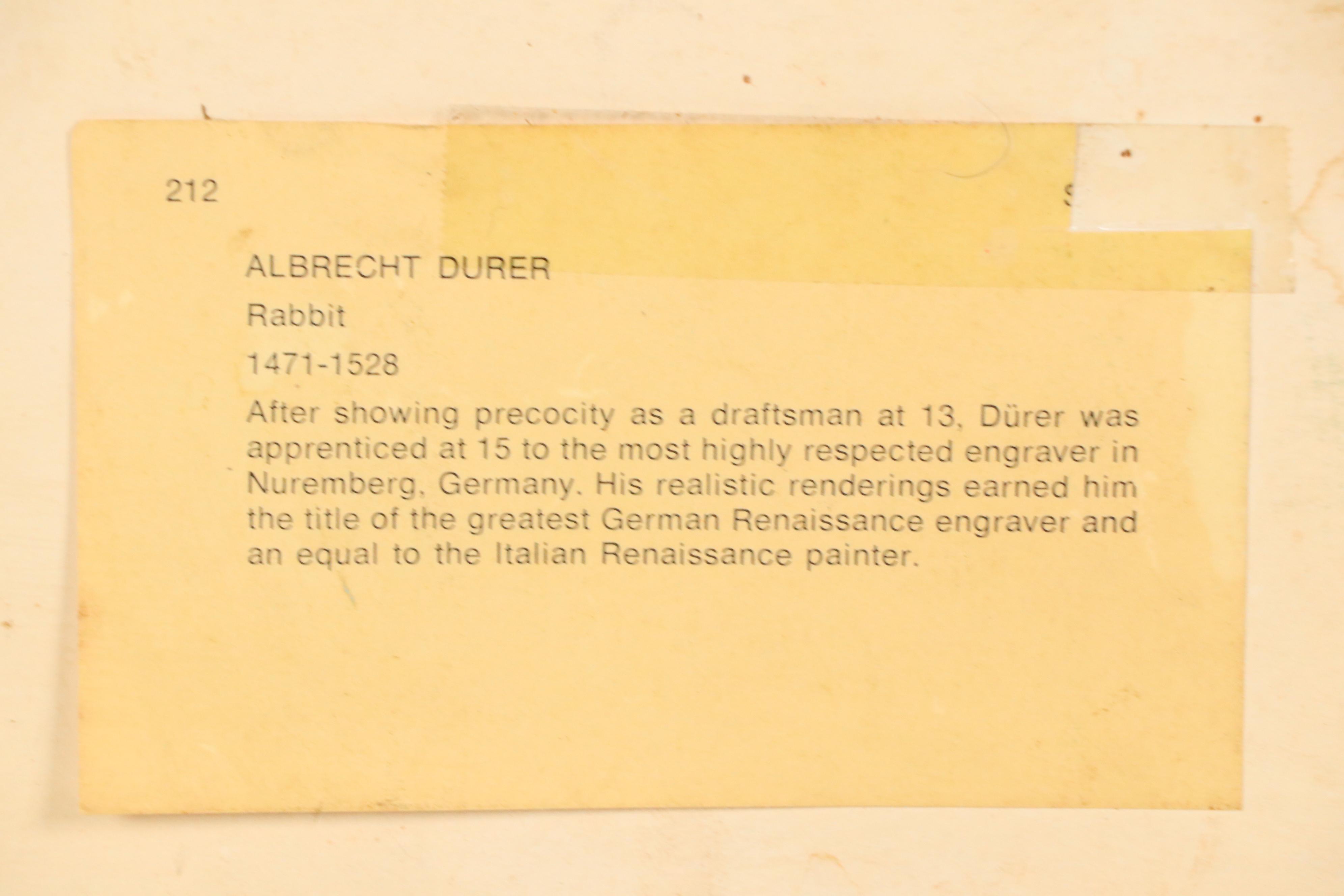 Offset Lithograph After Albrecht Dürer "Rabbit," 20th Century