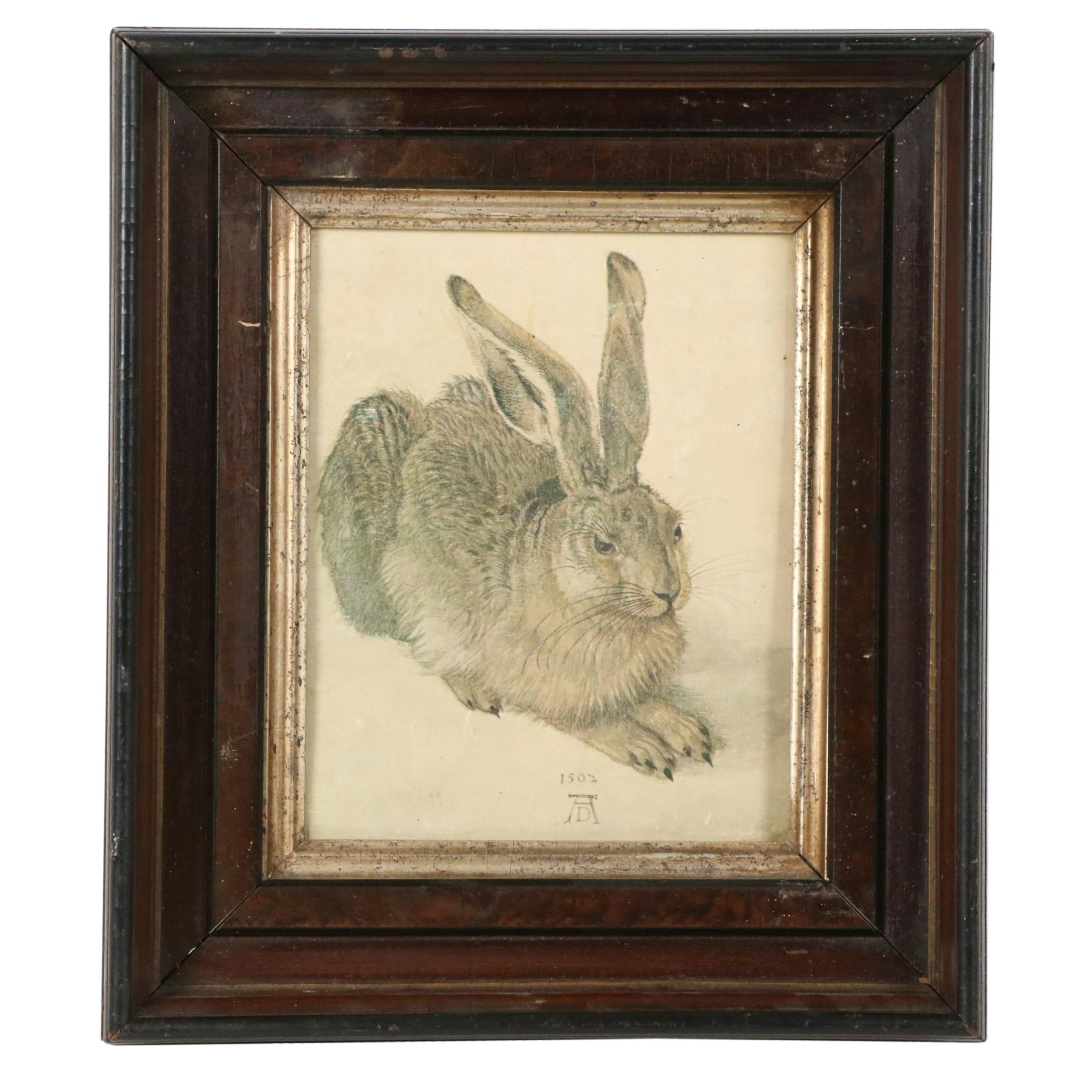 Offset Lithograph After Albrecht Dürer "Rabbit," 20th Century
