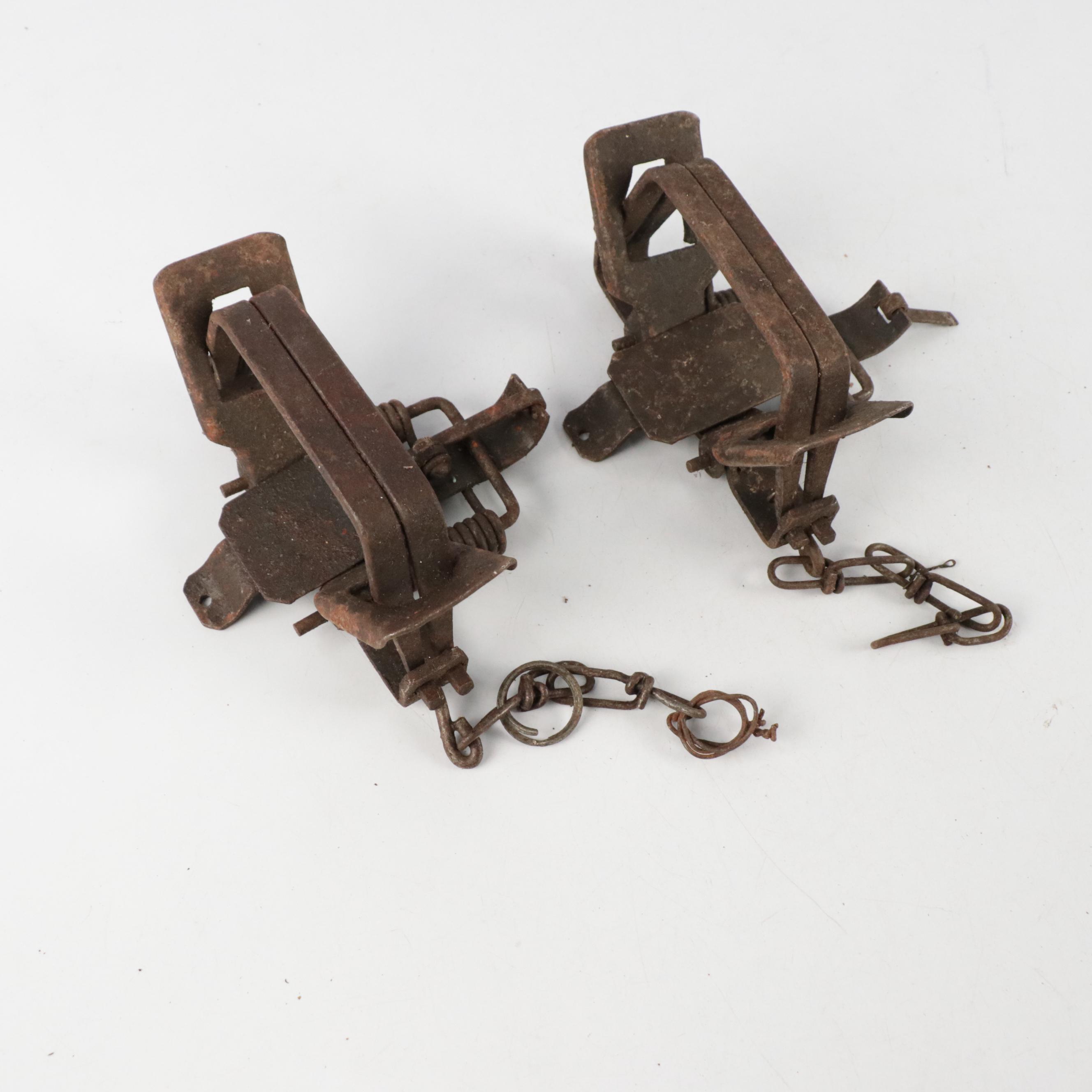 Victor Leg Hold Animal Traps, Mid to Late 20th Century