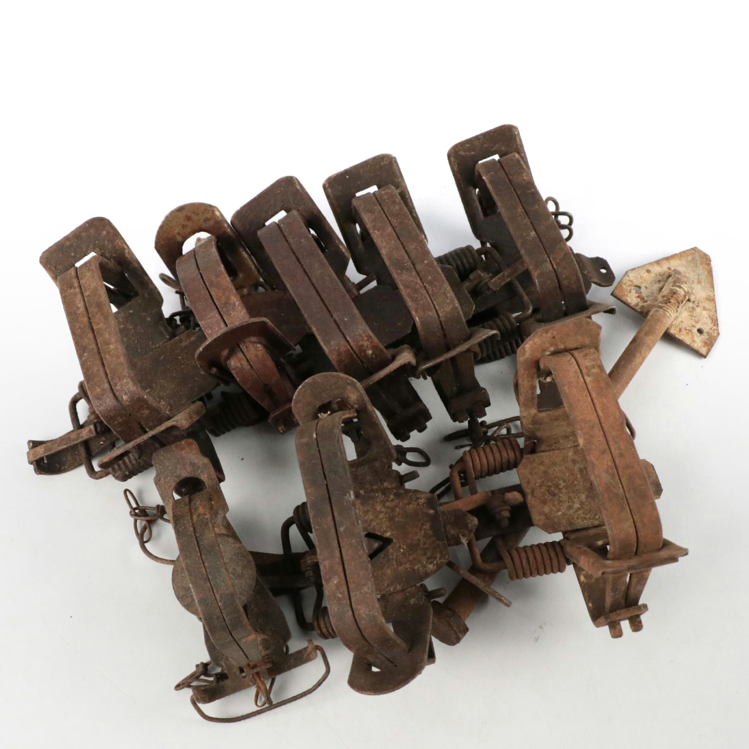 Victor Leg Hold Animal Traps, Mid to Late 20th Century