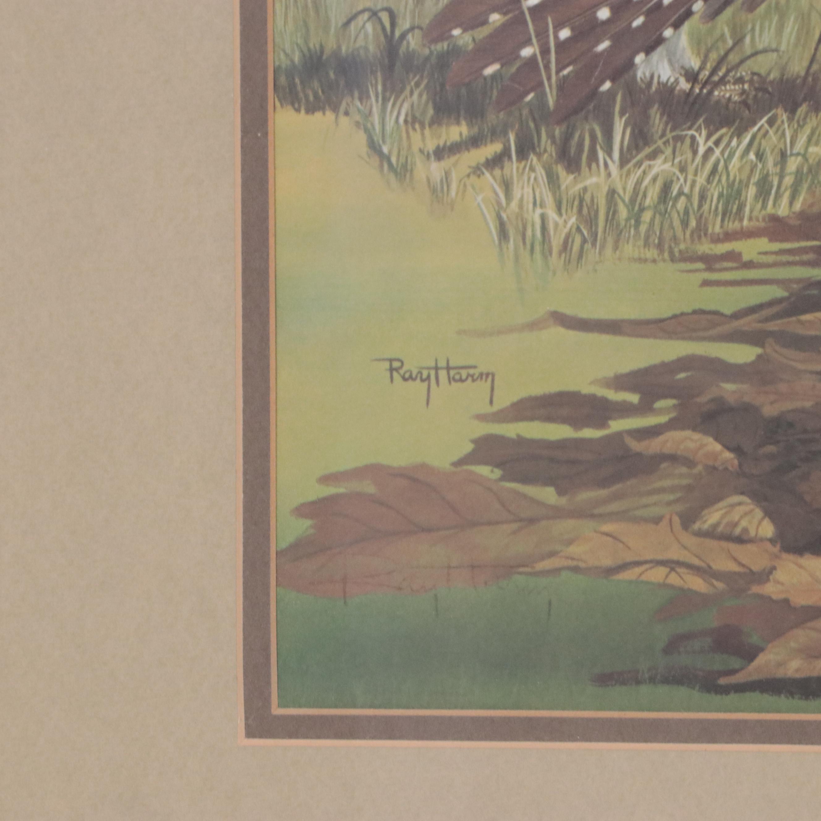 Ray Harm Offset Lithograph of American Birds, Circa 1970