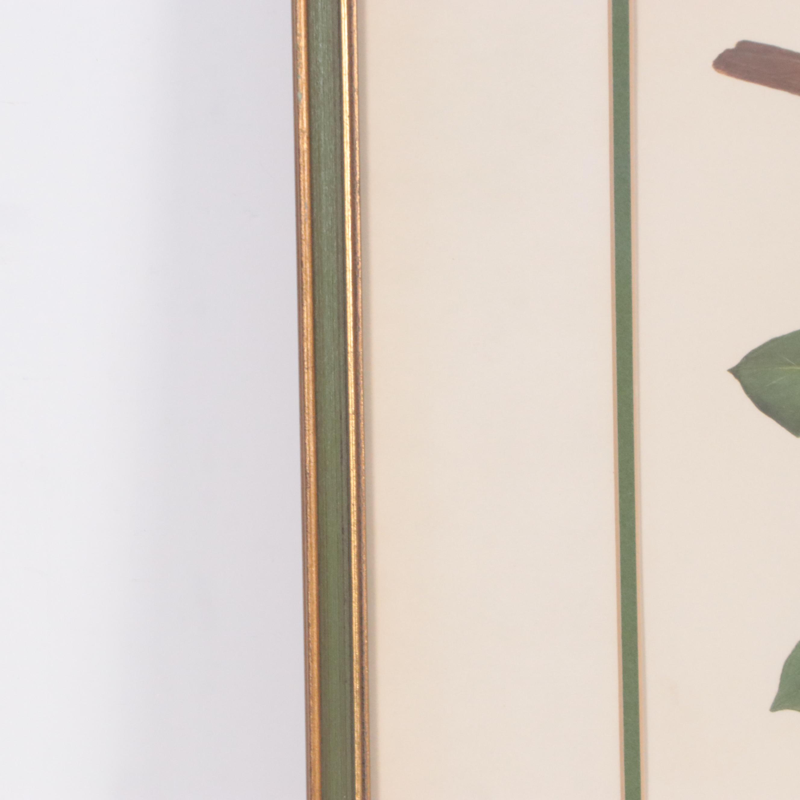 Ray Harm Offset Lithograph "Wood Thrush," Circa 1960