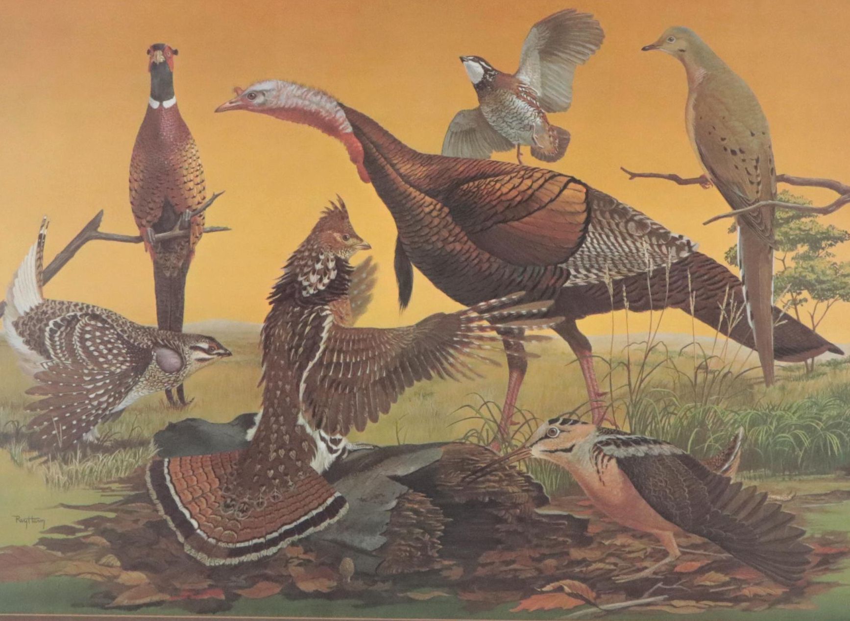 Ray Harm Offset Lithograph of American Birds, Circa 1970