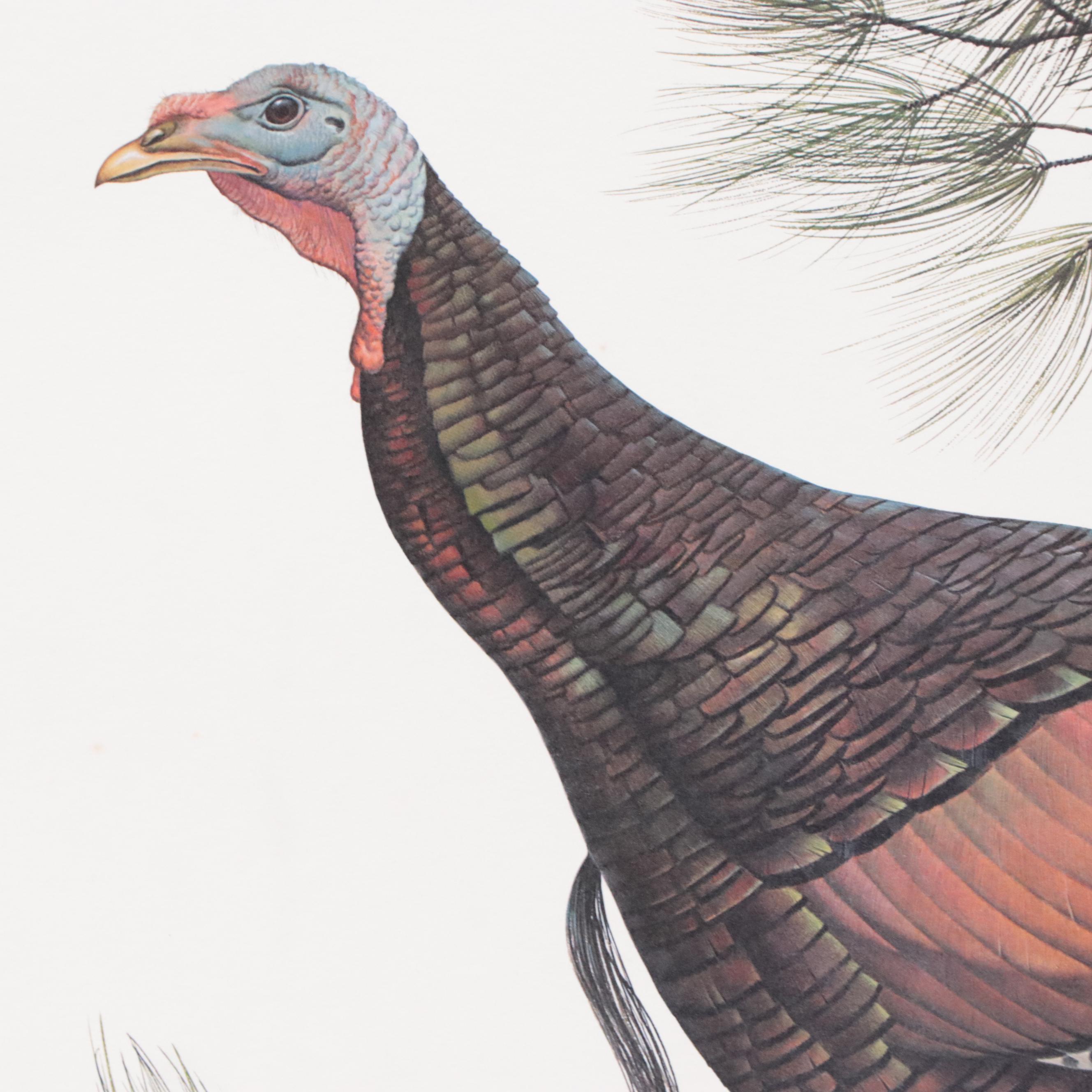 John Ruthven Offset Lithograph 