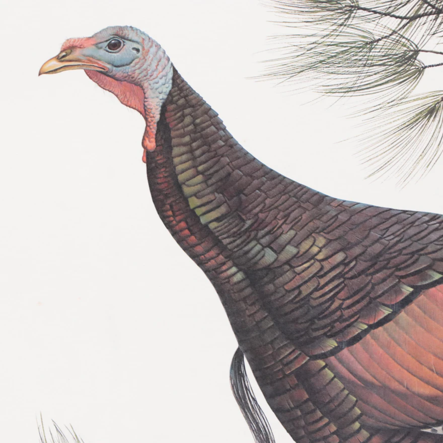 John Ruthven Offset Lithograph