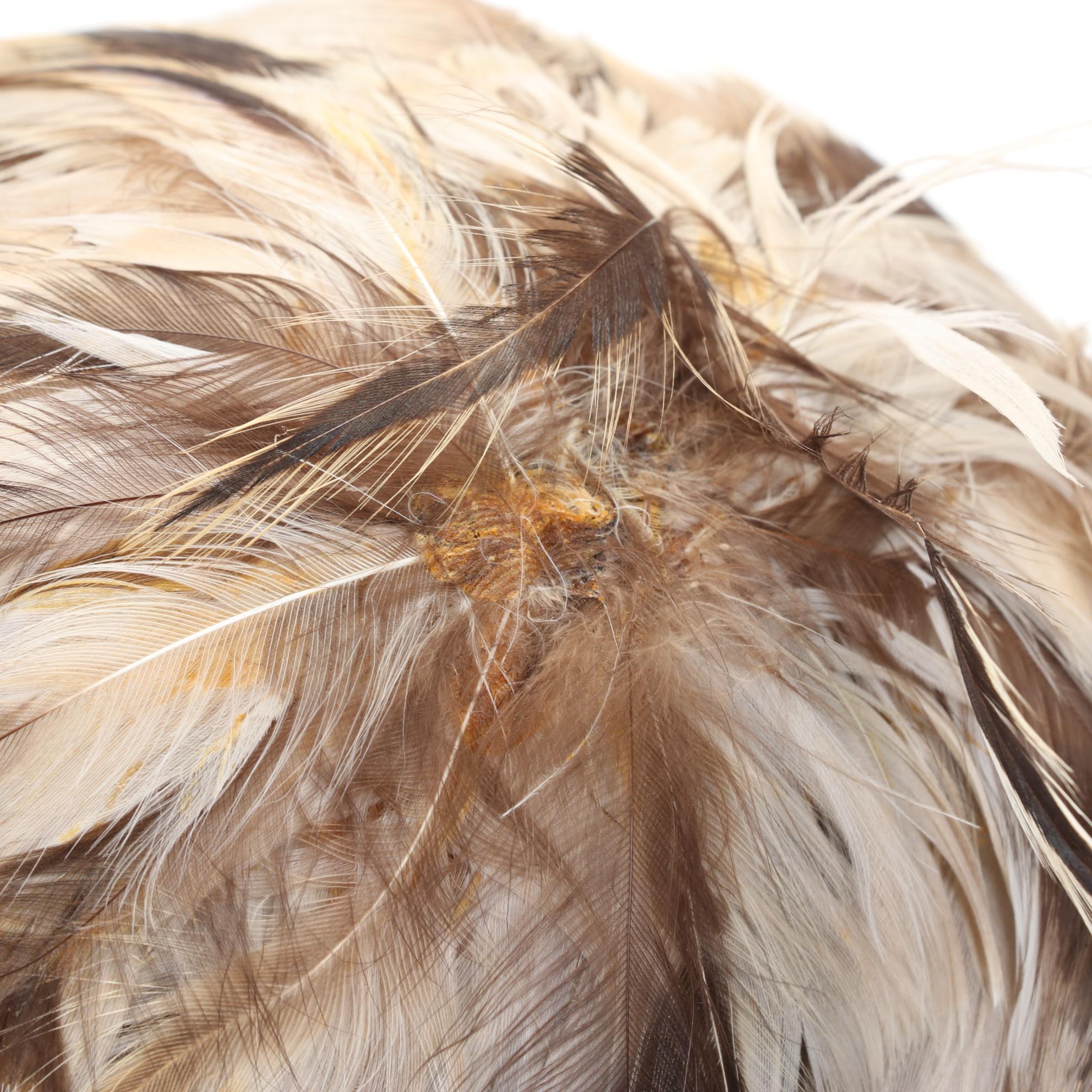 Feathered Hat Collection Features Jack McConnell and Dana Marte Designs, 1930s