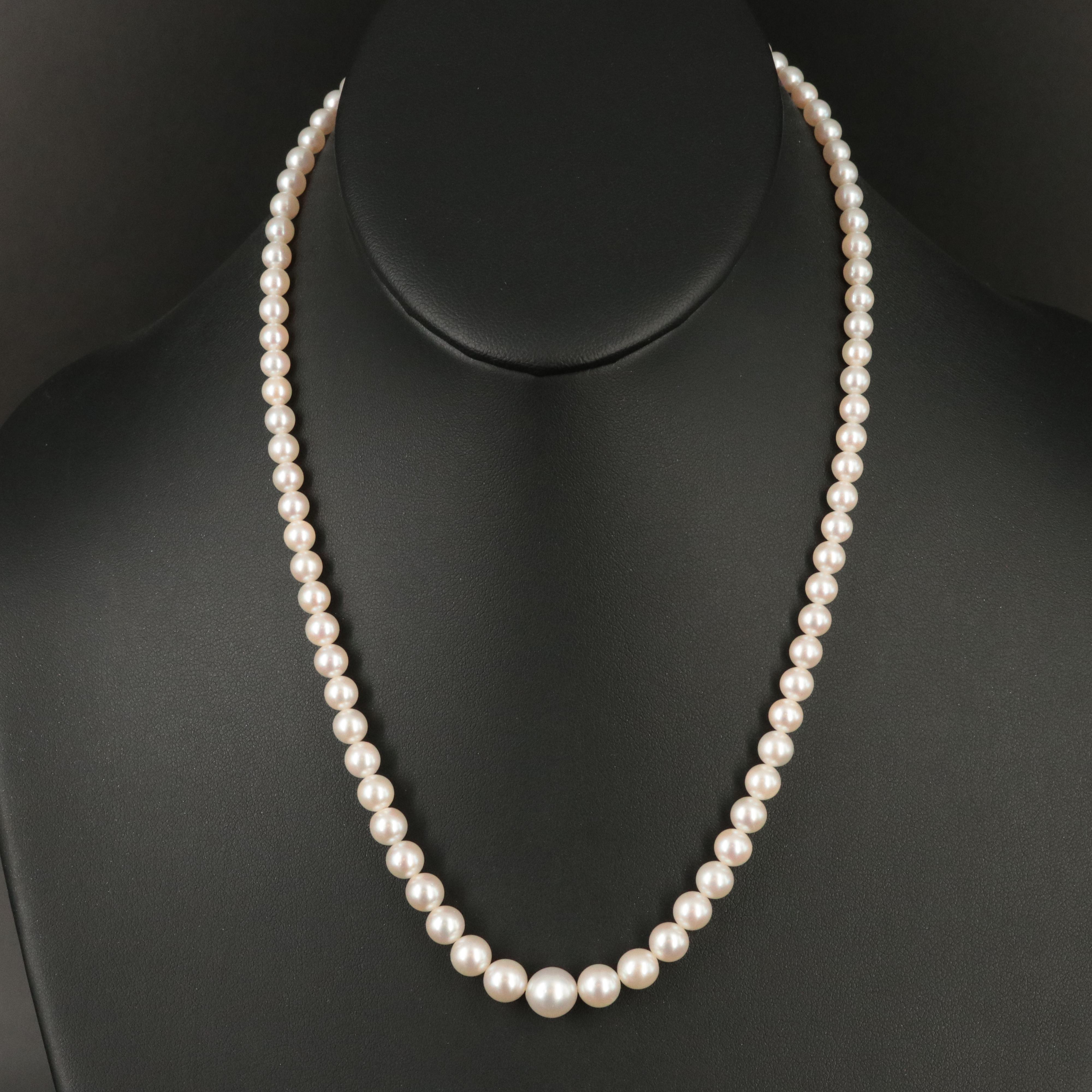 Mikimoto Graduated Pearl Necklace with Sterling Clasp