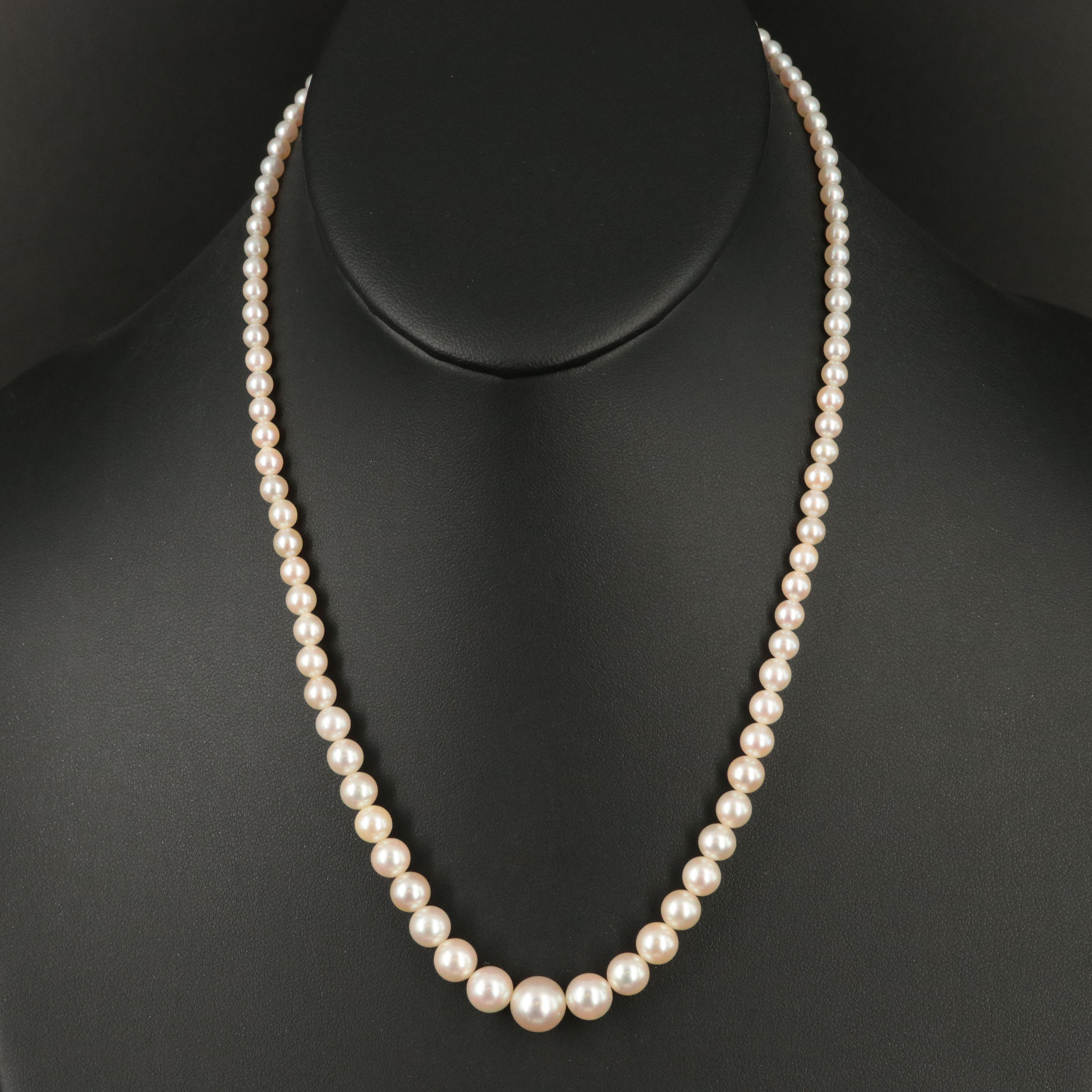 Mikimoto Graduated Pearl Necklace with Sterling Clasp