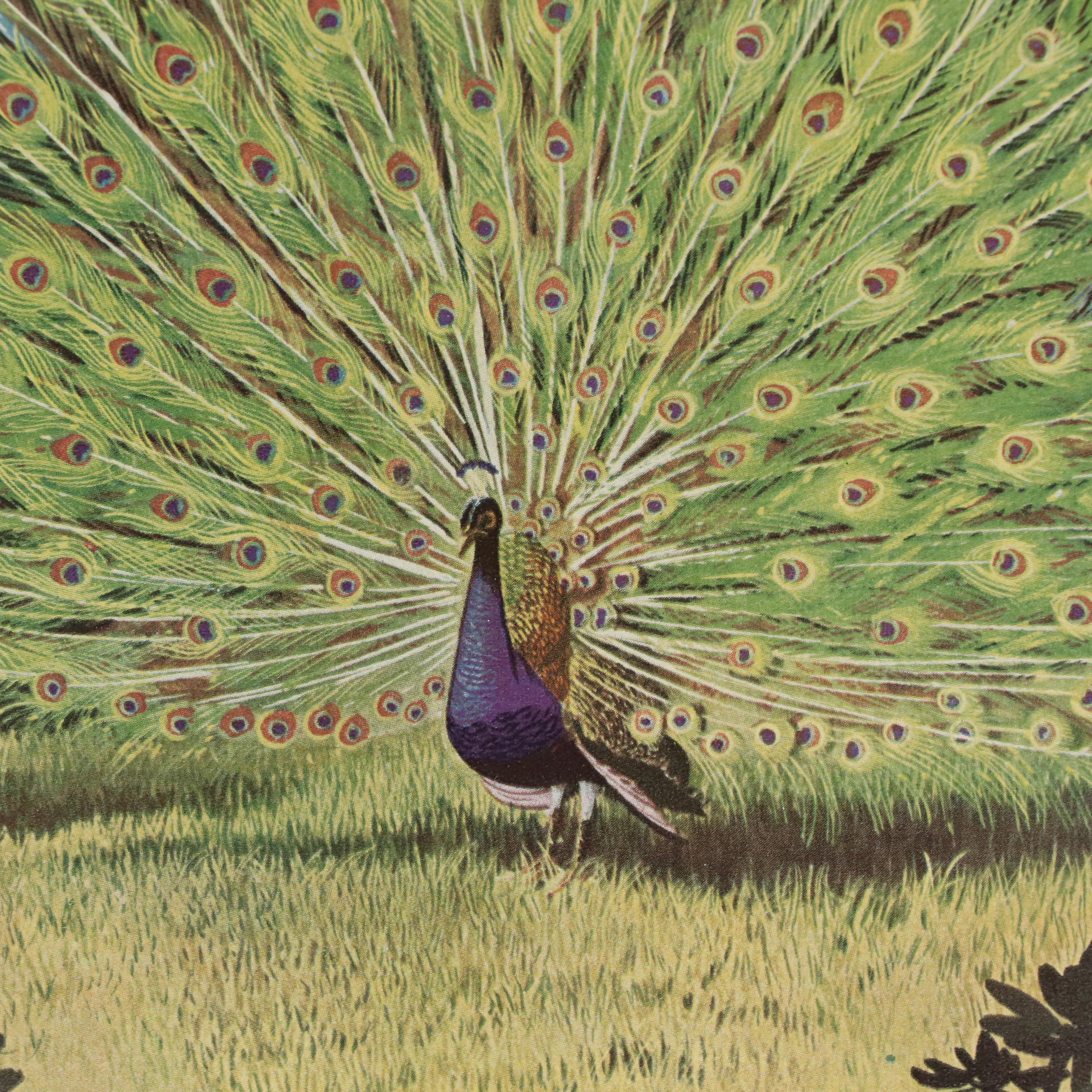 Four Roses Offset Lithograph Advertisement Poster