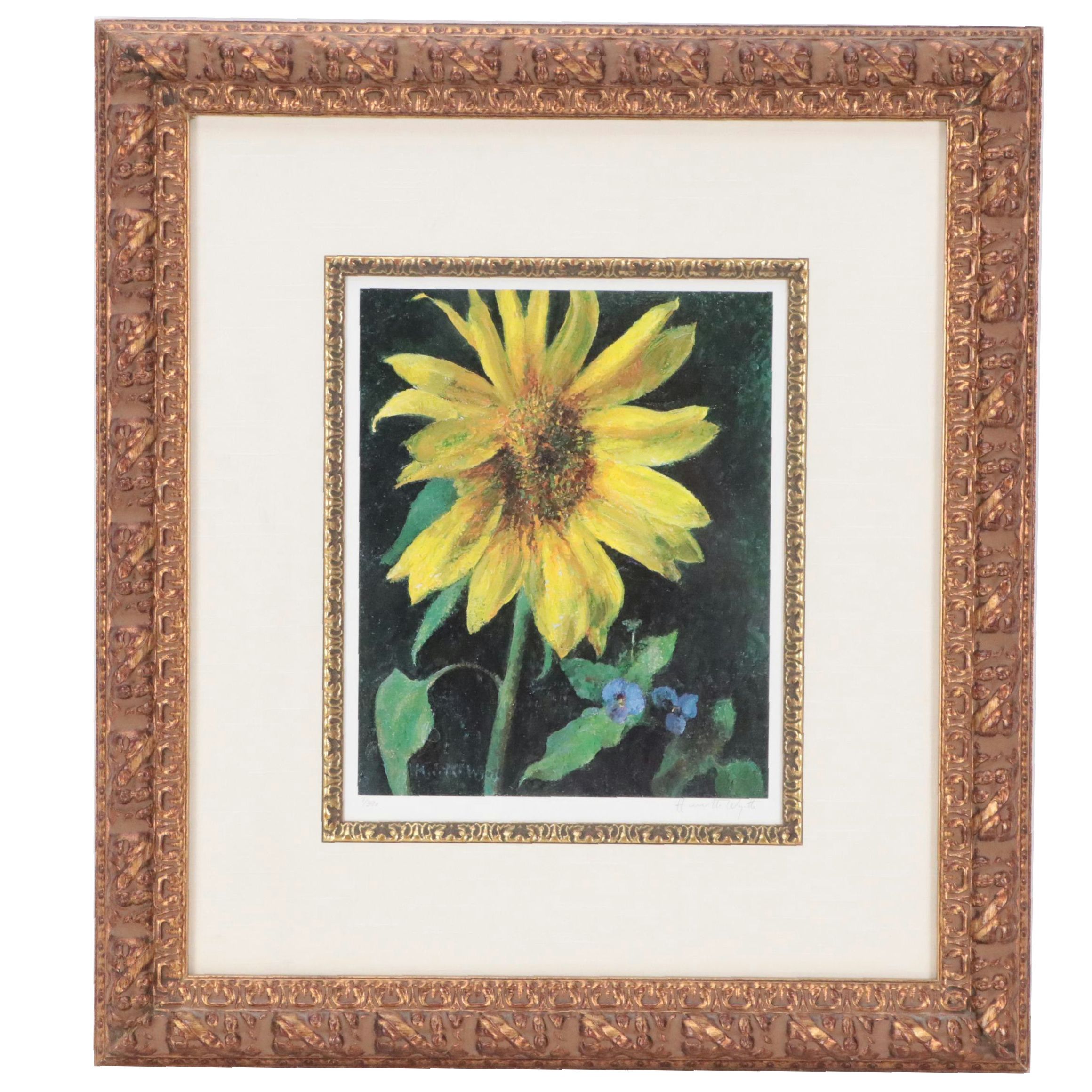 Offset Lithograph of Sunflower
