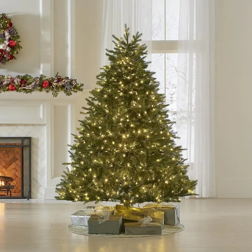 6'6 Full Prelit LED Concolor Fir Christmas Tree