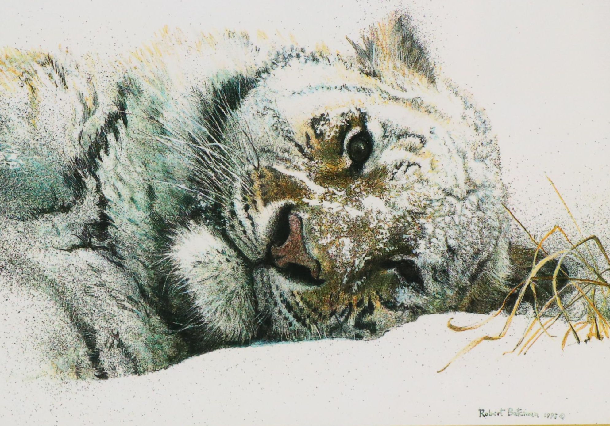 Robert Bateman Digital Print "Snowy Nap Tiger"