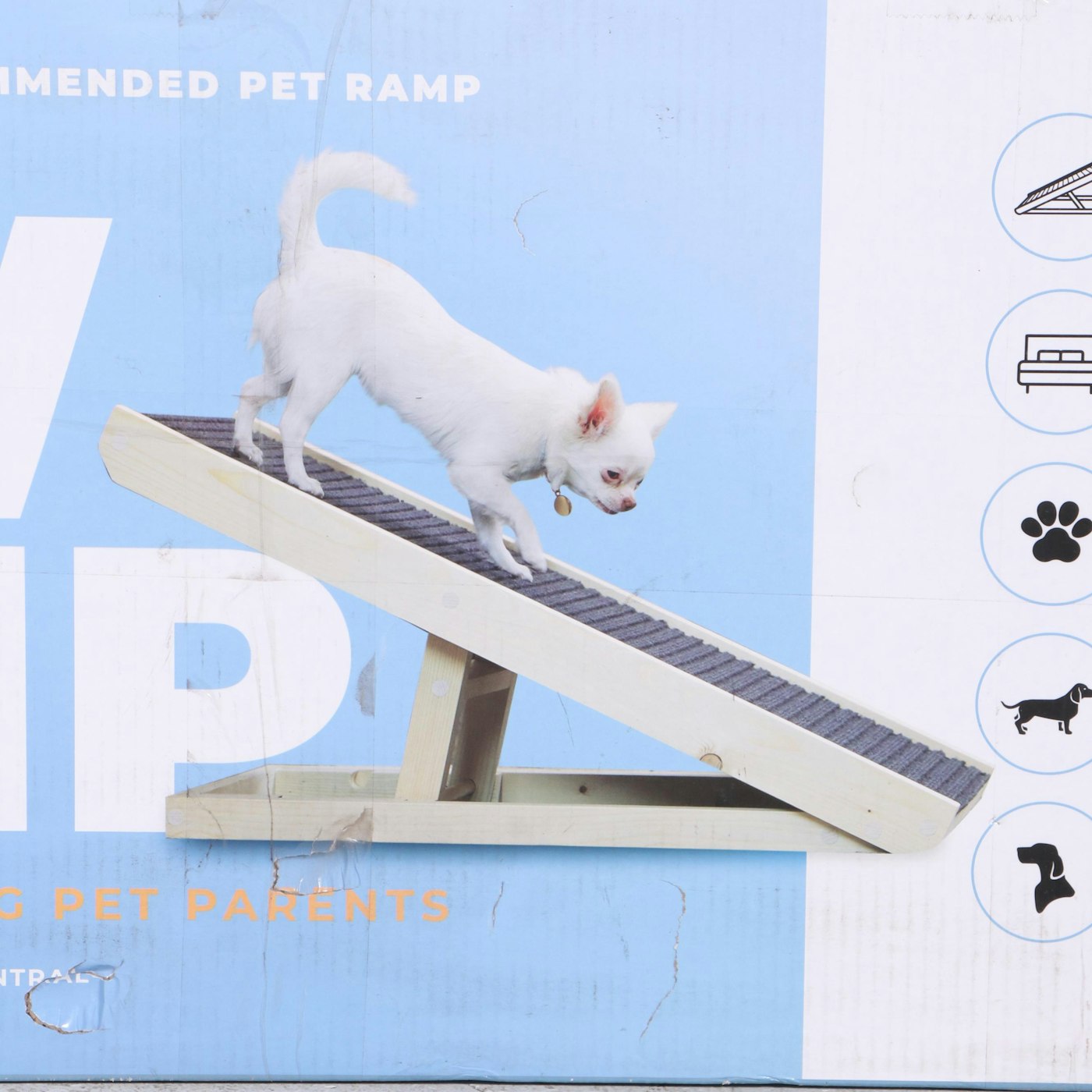 Alpha Paw Adjustable Pet Ramp | EBTH