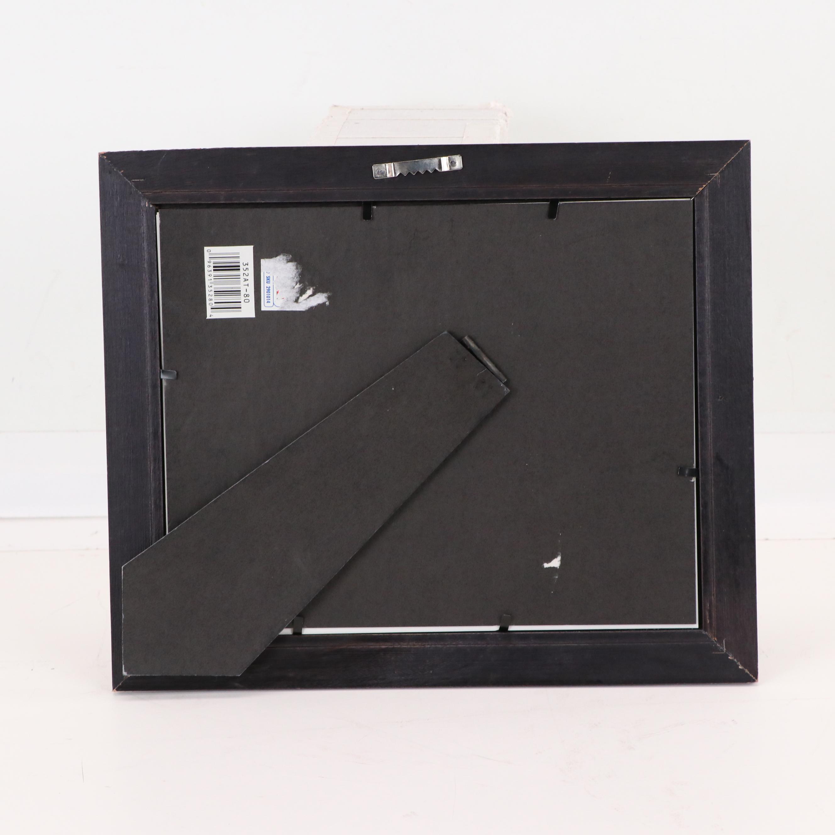 Color Photograph of Racehorse Thunder Gulch Winner of Kentucky Derby, 1995