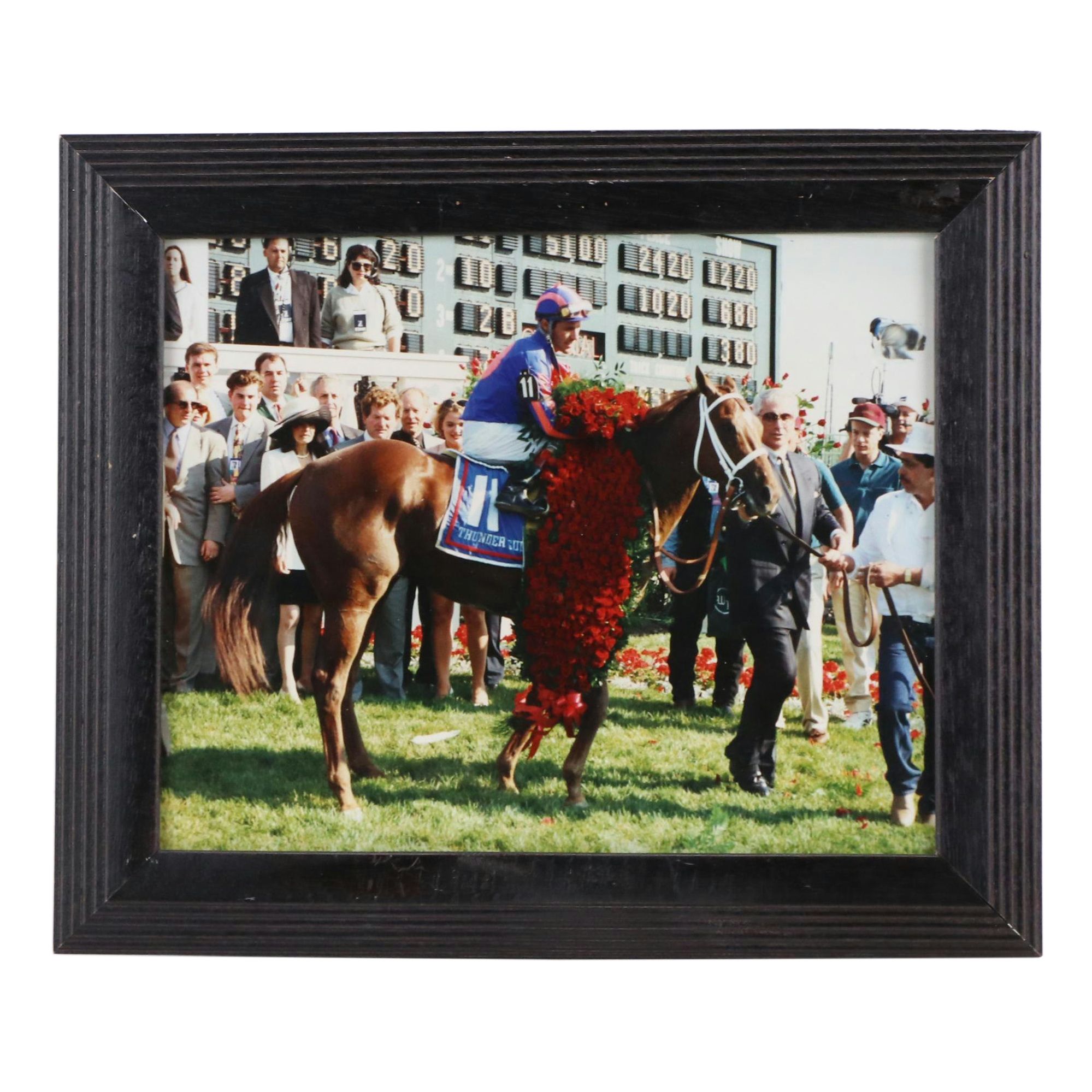 Color Photograph of Racehorse Thunder Gulch Winner of Kentucky Derby, 1995