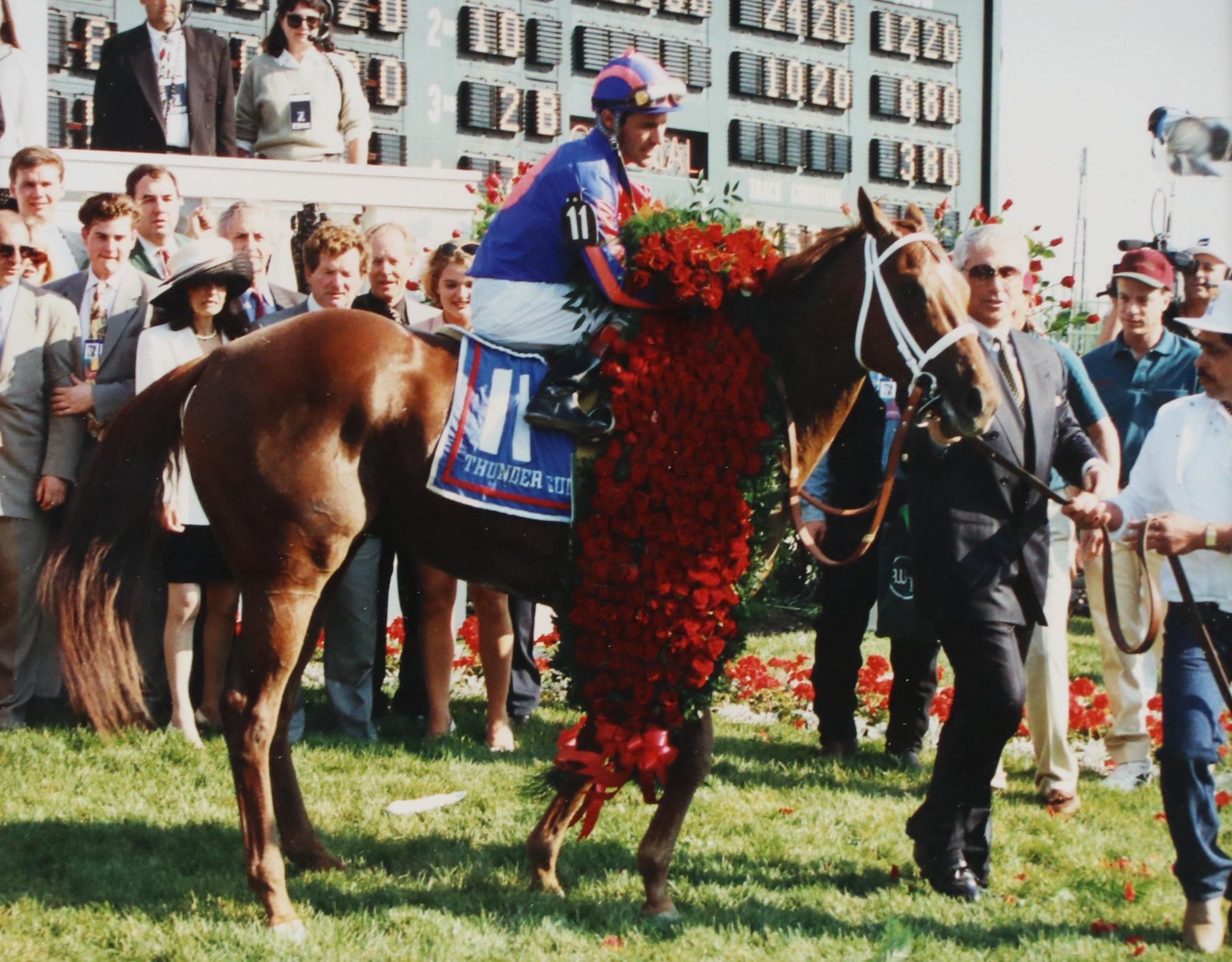 Color Photograph of Racehorse Thunder Gulch Winner of Kentucky Derby, 1995