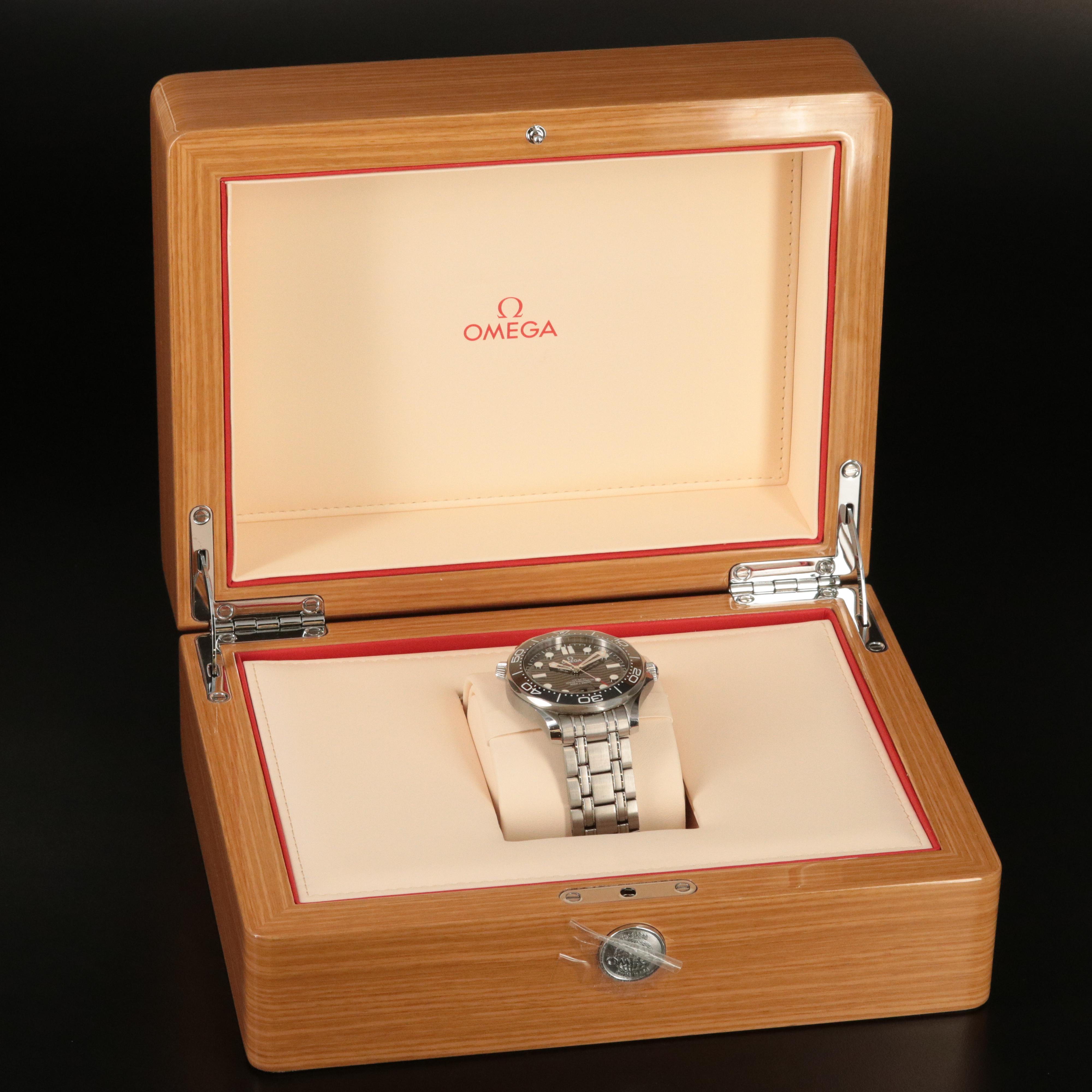 Omega Seamaster Professional Chronometer Black Dial Watch