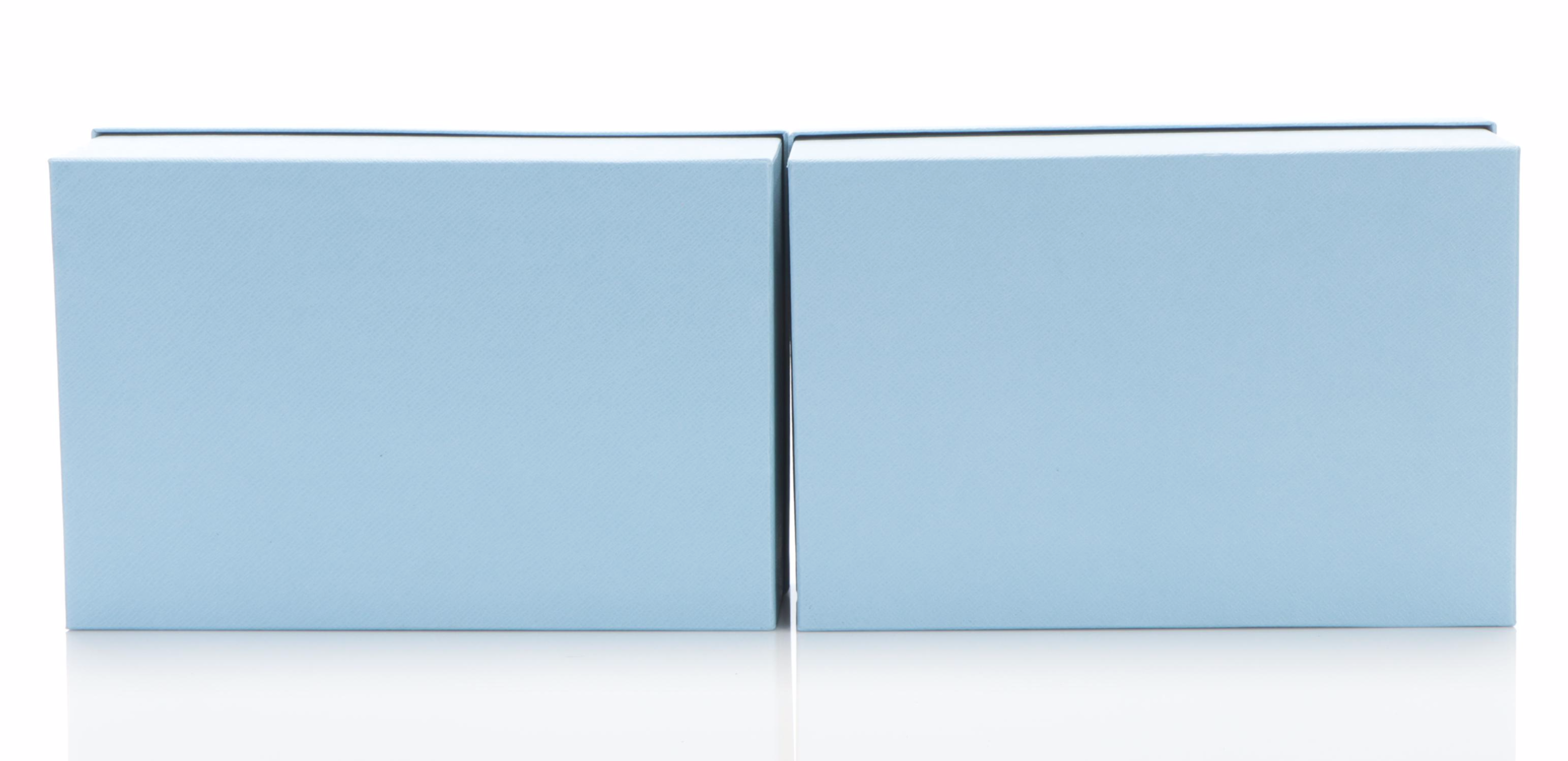 Prada Retail Shoe Boxes