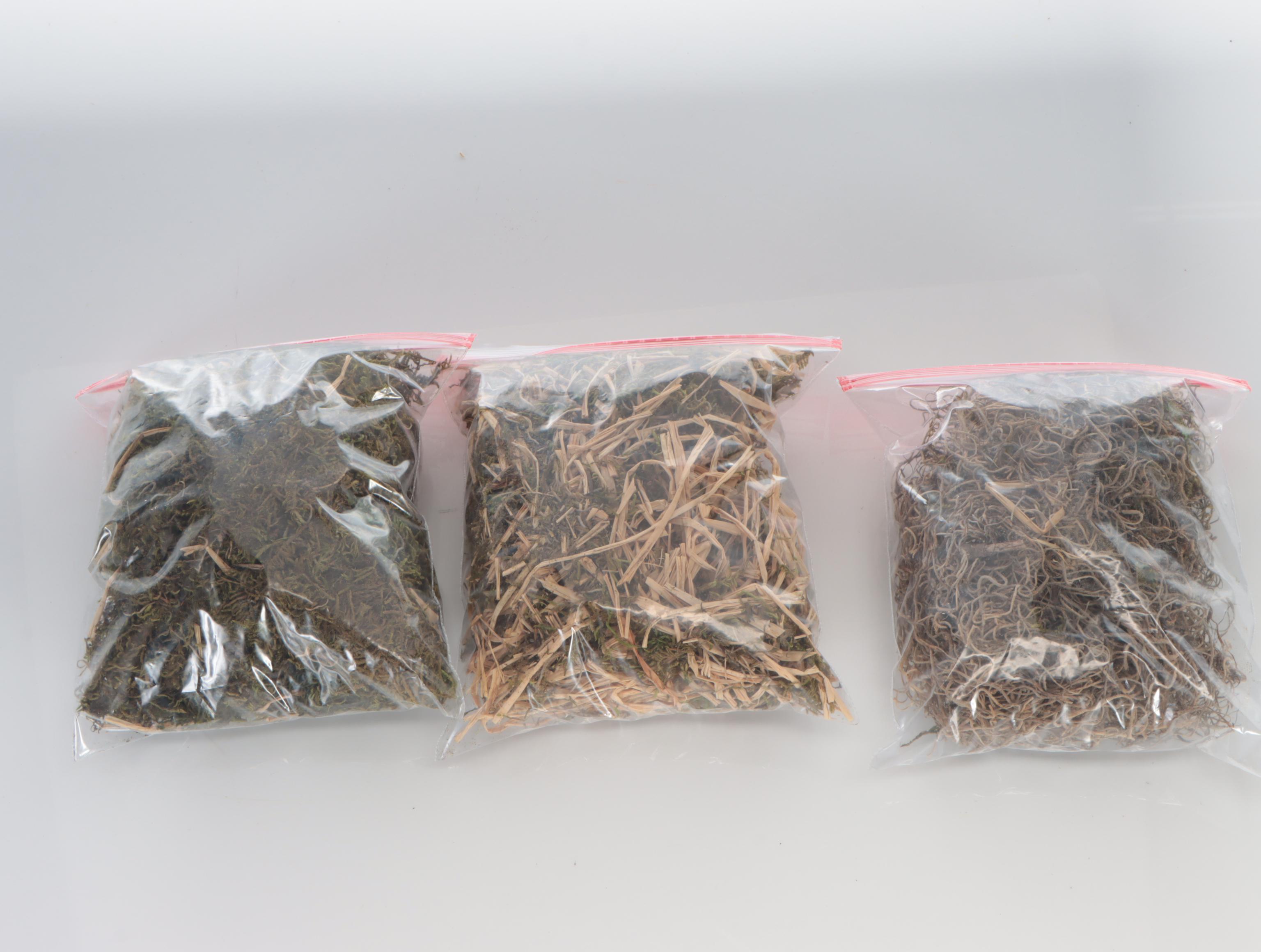 Mark Roberts Resin DaVinci Nativity Set