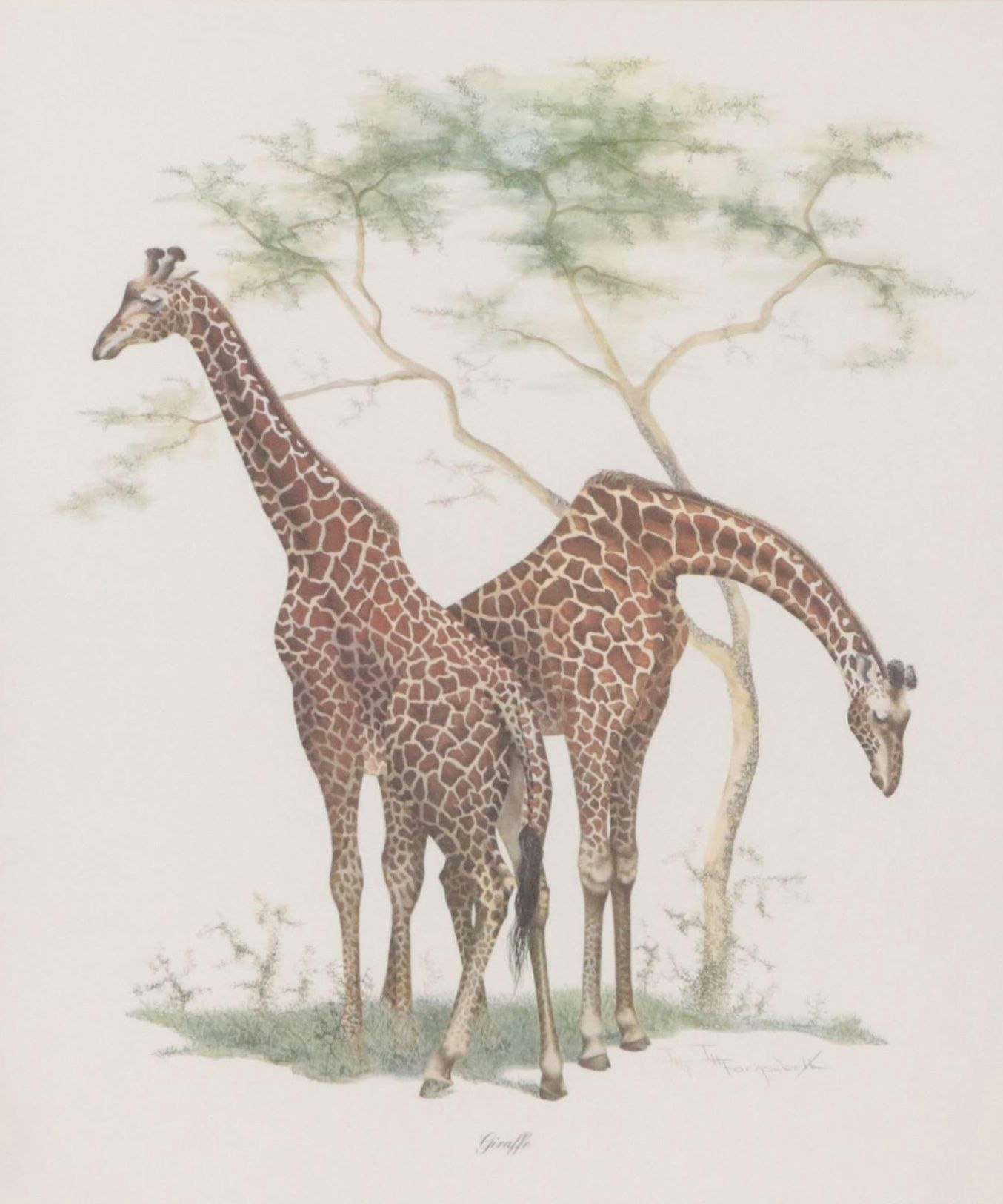 Imogene H. Farnsworth Offset Lithograph "Giraffe," 1975 | EBTH