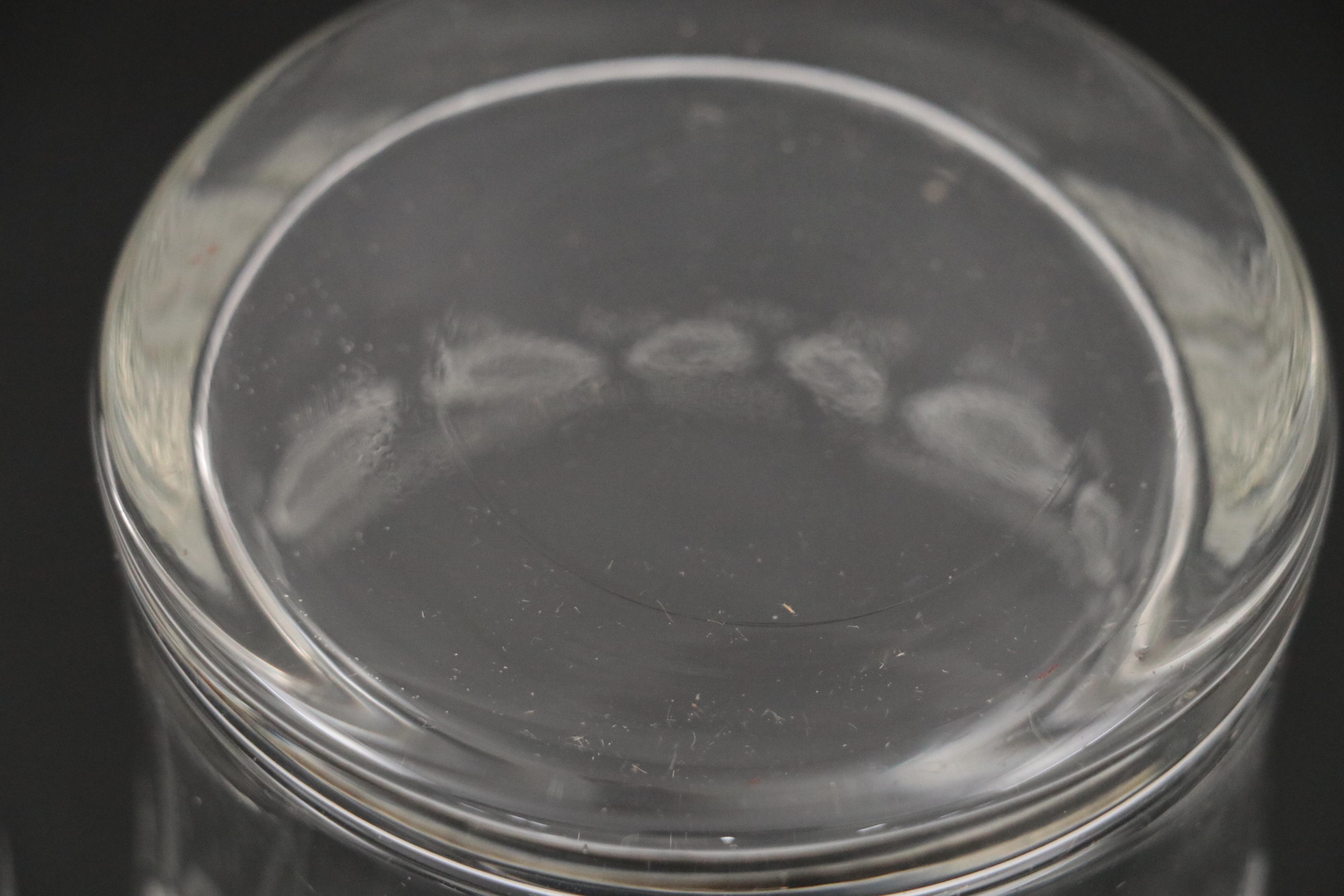 Cincinnati Reds Drinking Glasses