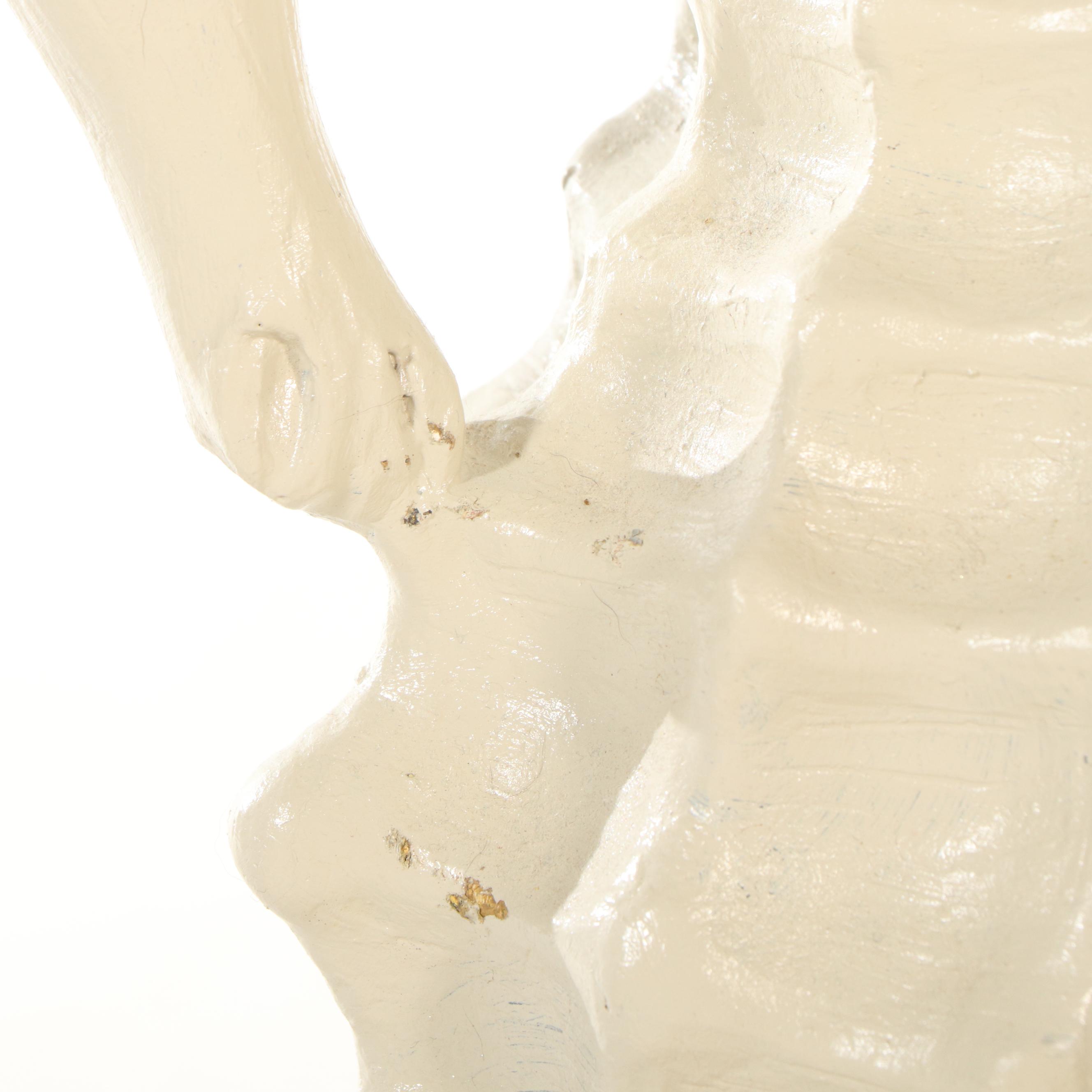 Glass Top Dining Table with Seahorse Shaped Pedestal Base