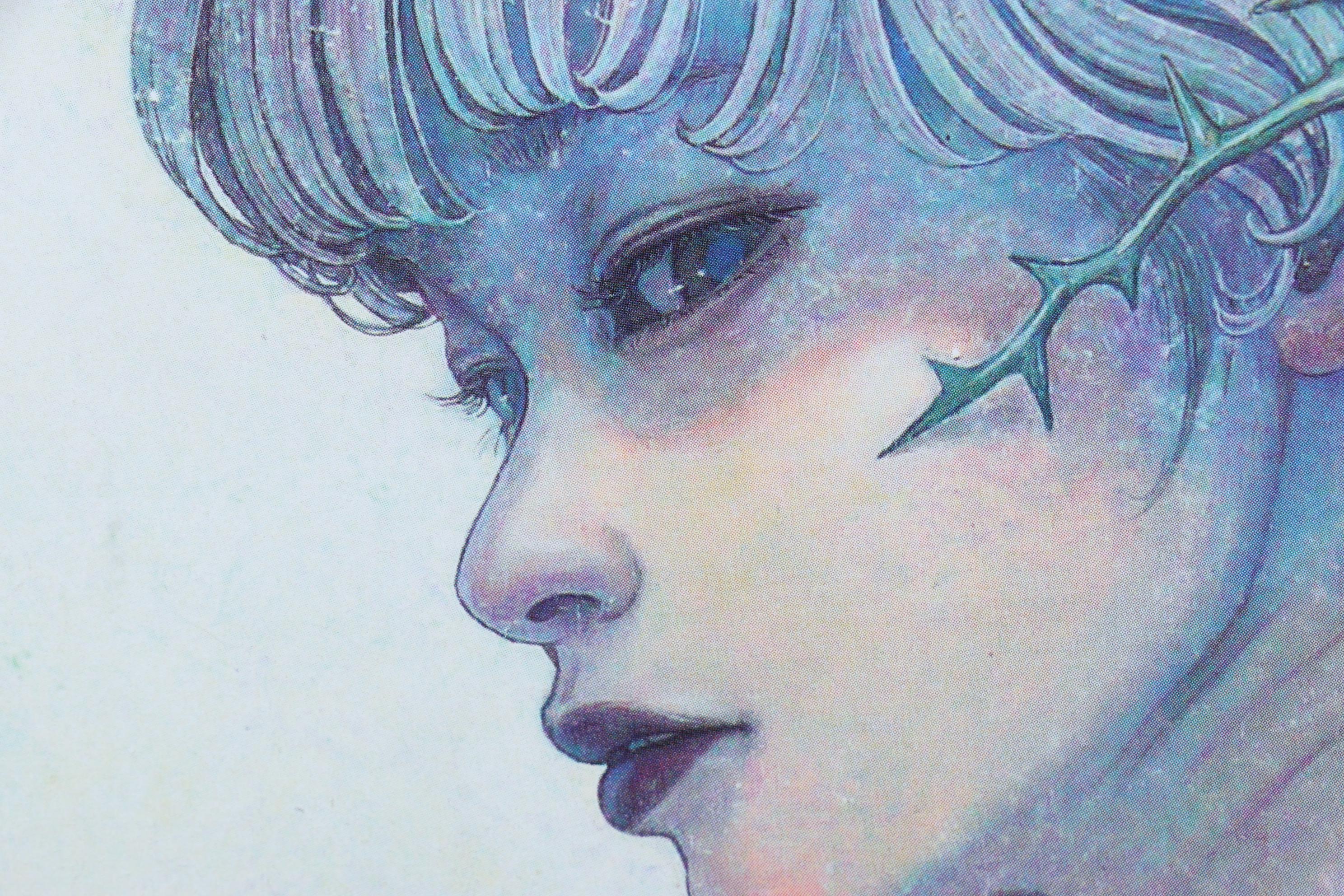 Miho Hirano Offset Lithograph "Self Possessed" From "The Beauties of Nature"